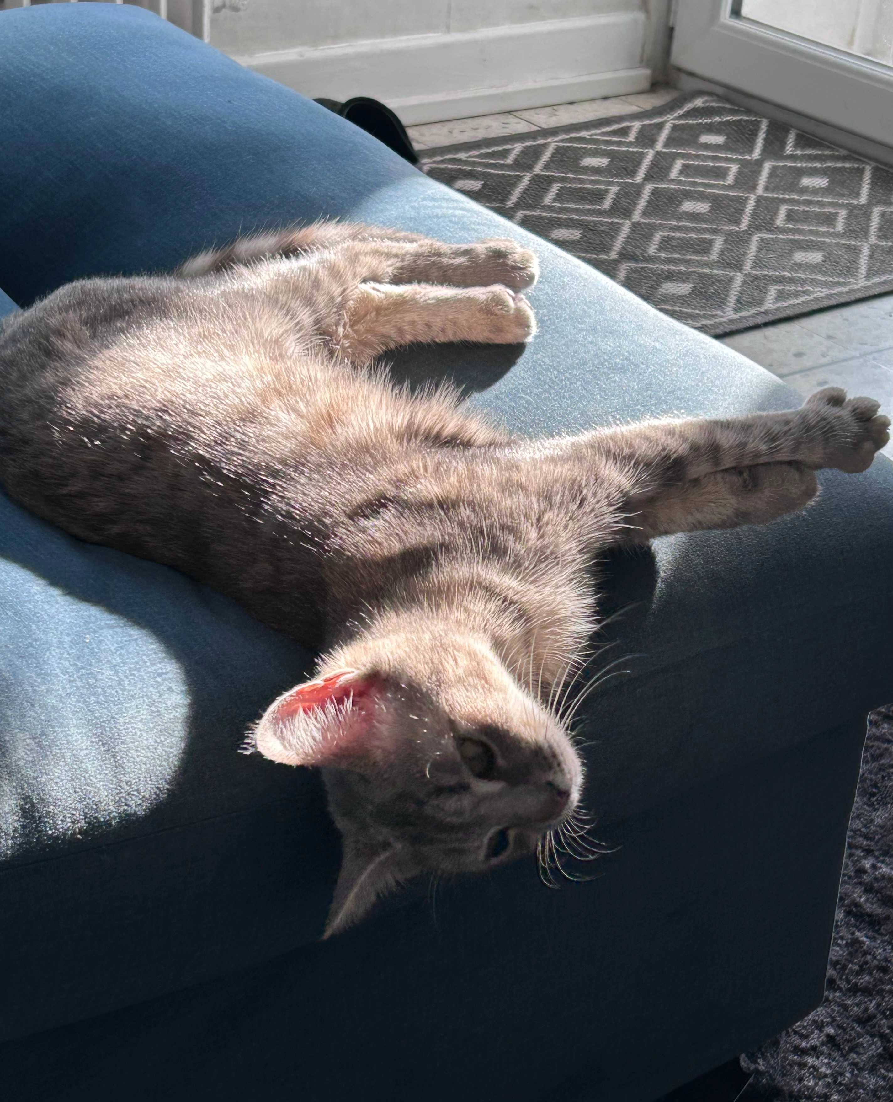 Attila - Rue De Louviers, Saint-Pierre-lès-Elbeuf