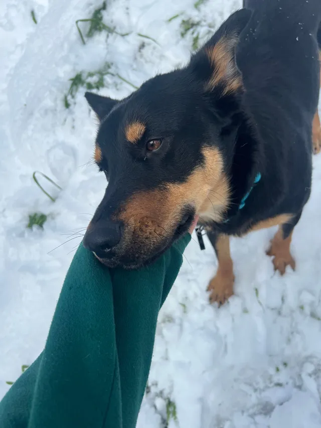 Dakota - Hartnell Avenue, Redding