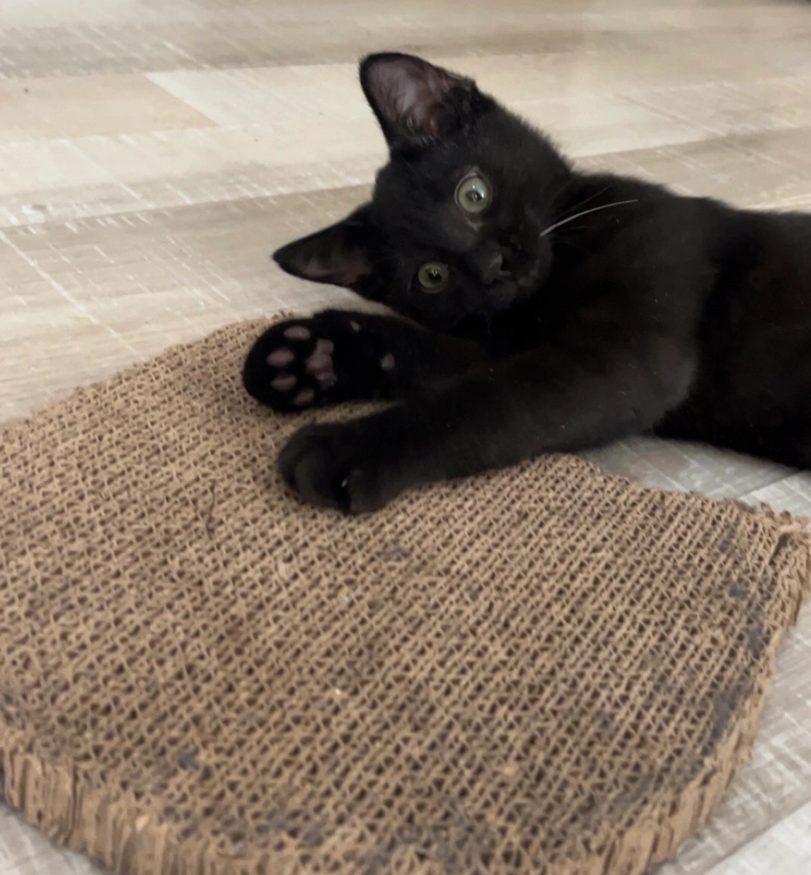 Ganja - Impasse Allobroges, Cluses