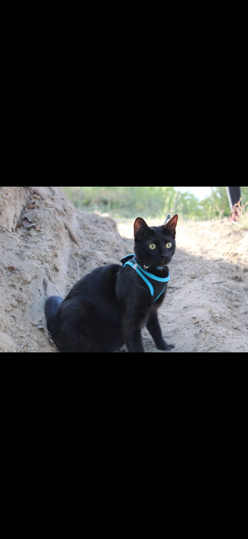 Kaida - Helmstedter Straße, Magdeburg