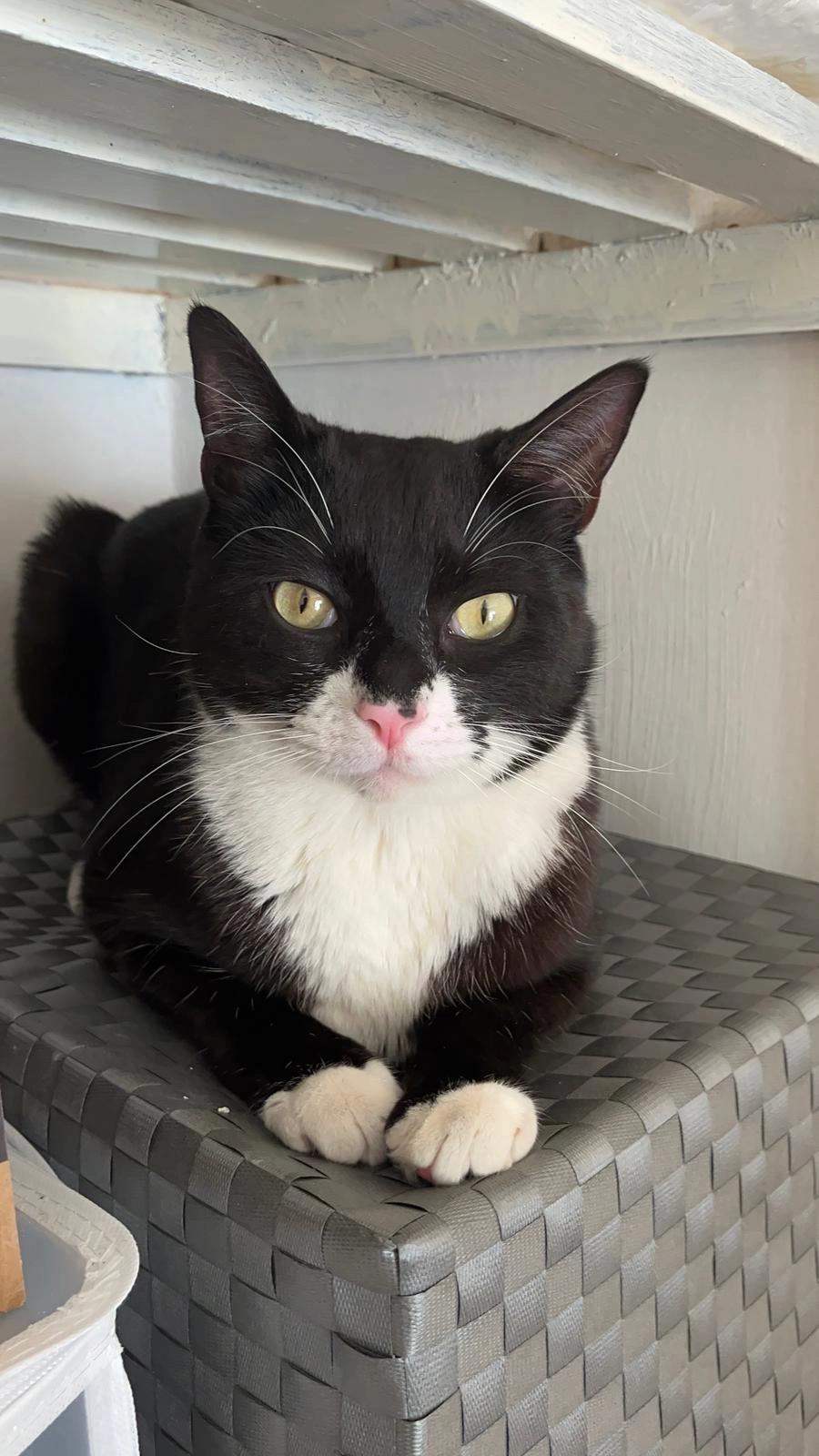 Zion - Ne4, Newcastle Upon Tyne