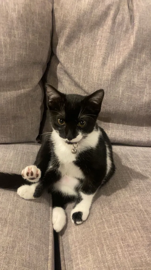 Boots - Ben Hur Road, Baton Rouge