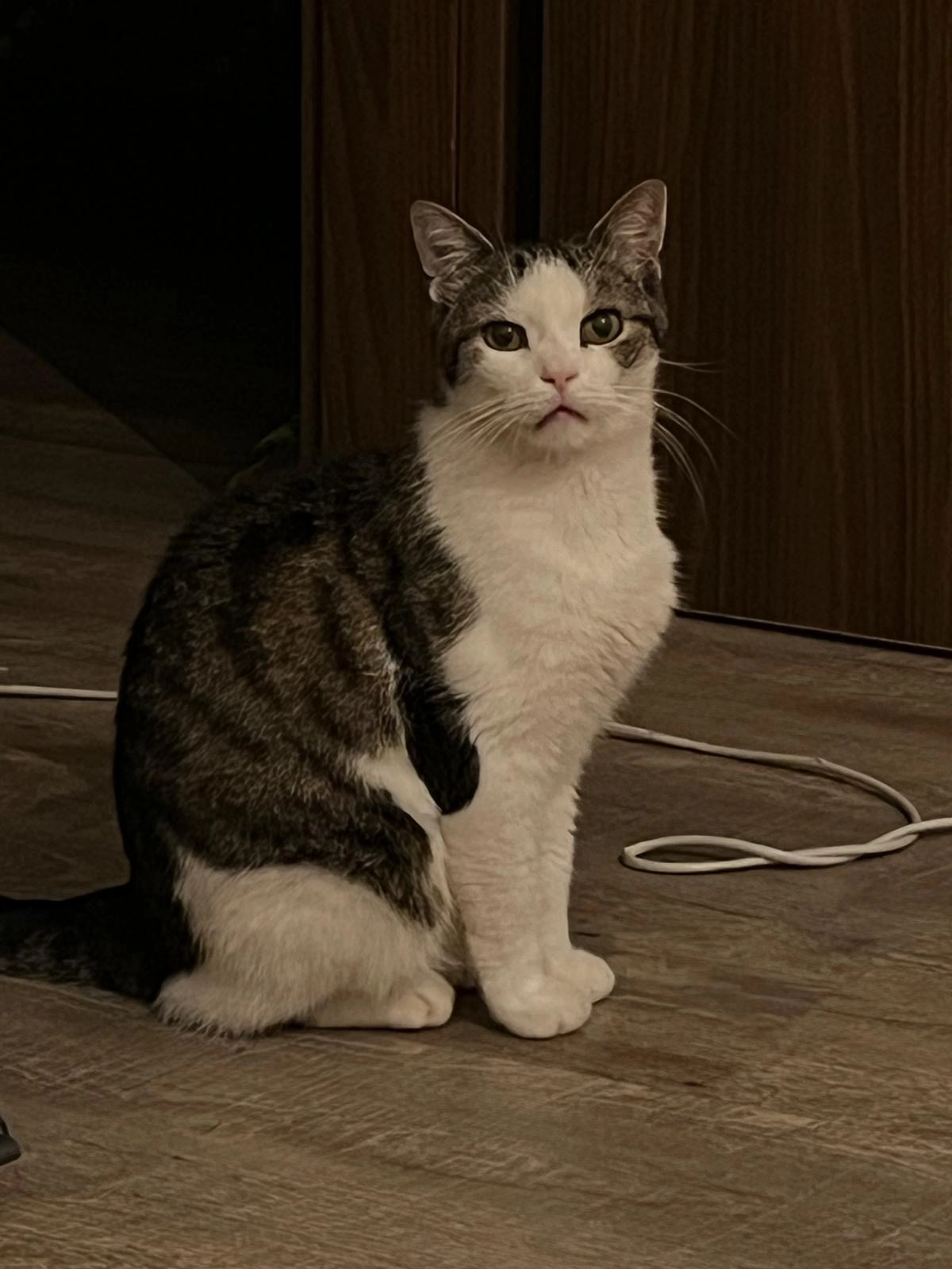 Alfred - Ortsstraße, Allmendingen