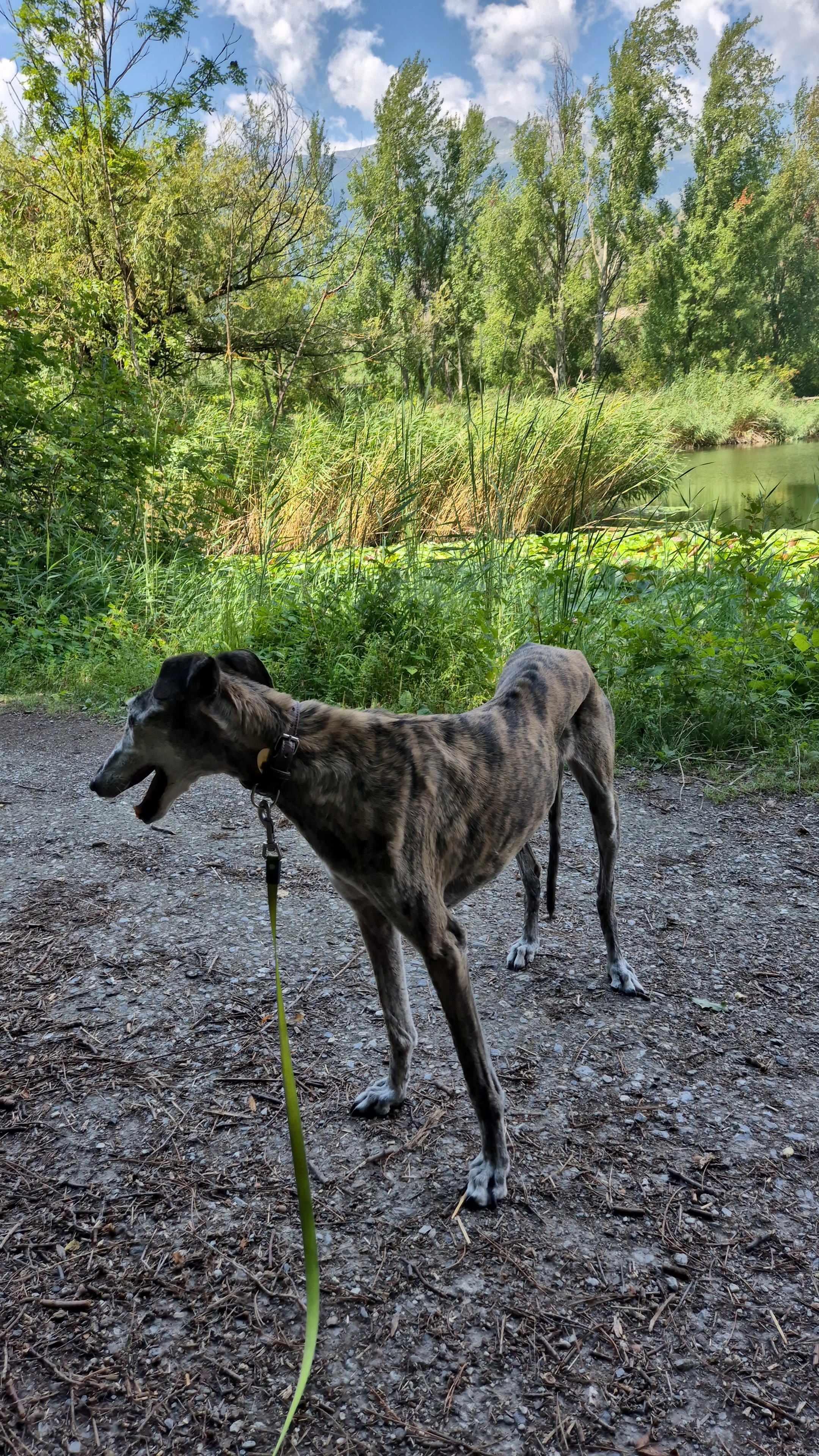 Renata - Route de Crèhapalô, Arbaz