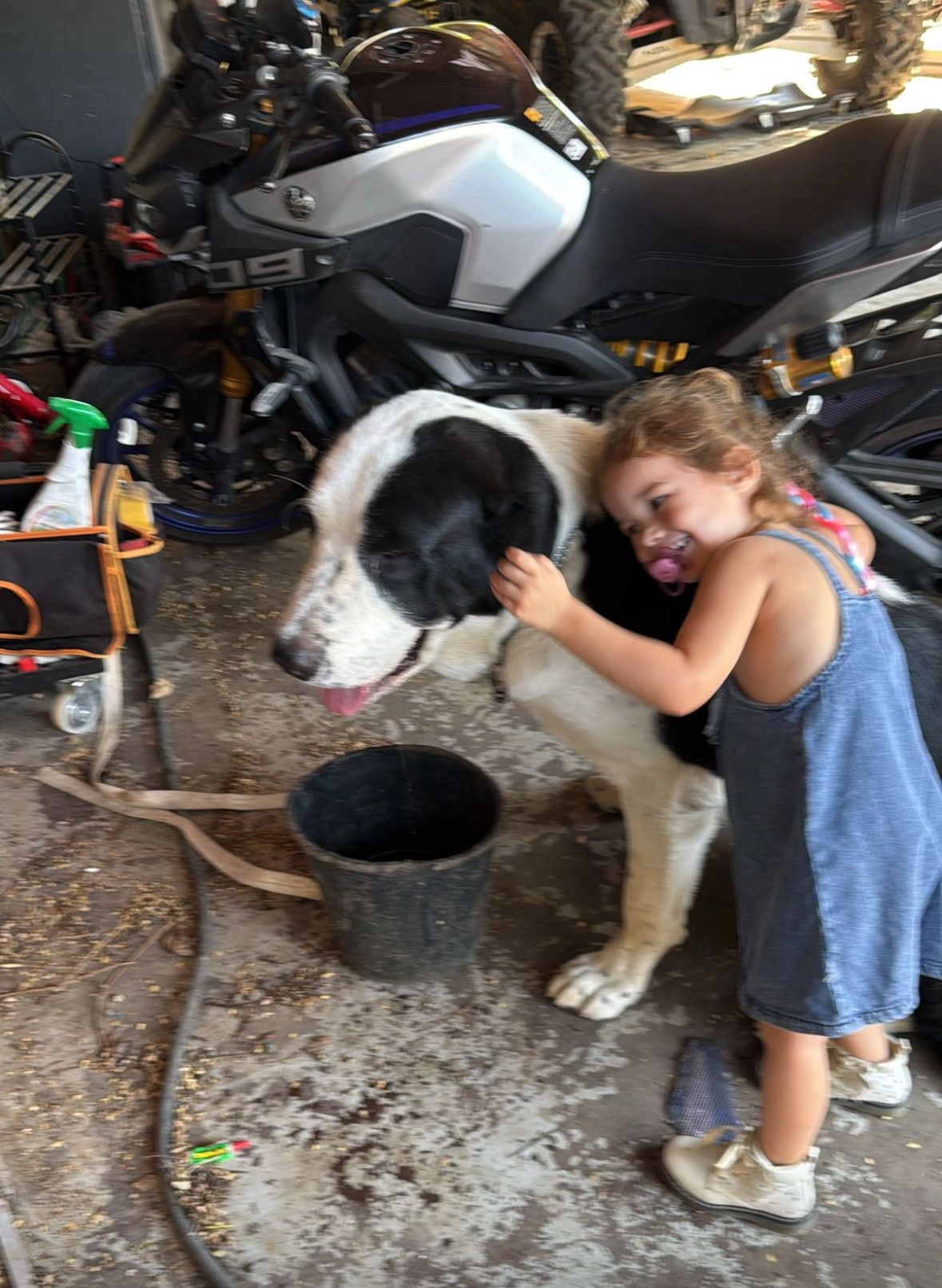 פנדה - רחוב לכיש, גבעת כח