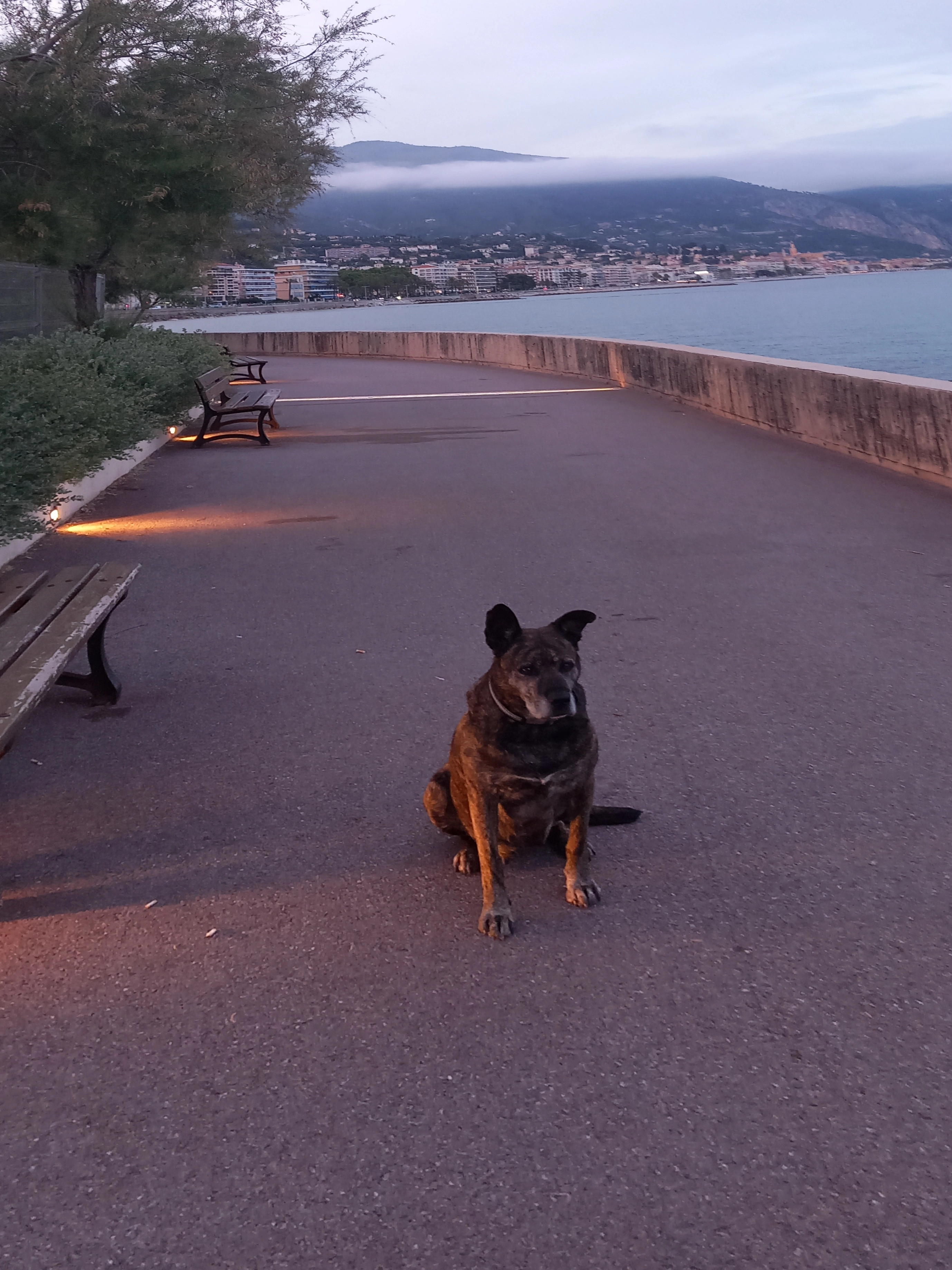 Lexy - 12 Rue de l'Égalité, Décines-Charpieu