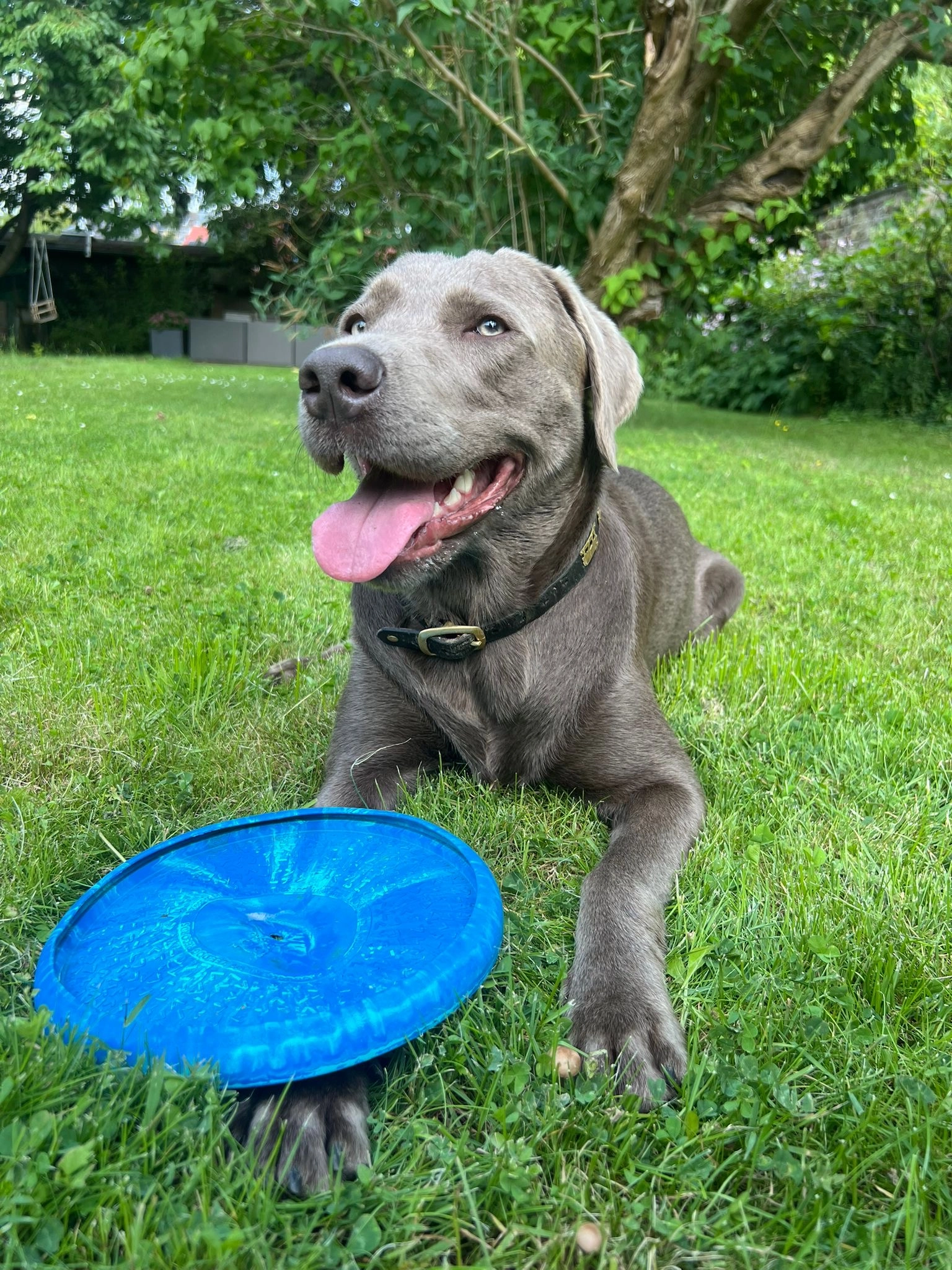 Rosa - Seeholzstraße, Utting am Ammersee