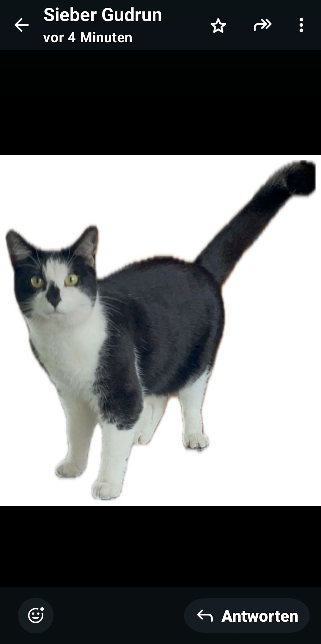 Sissi und Miri - Grüntenstraße, Amberg