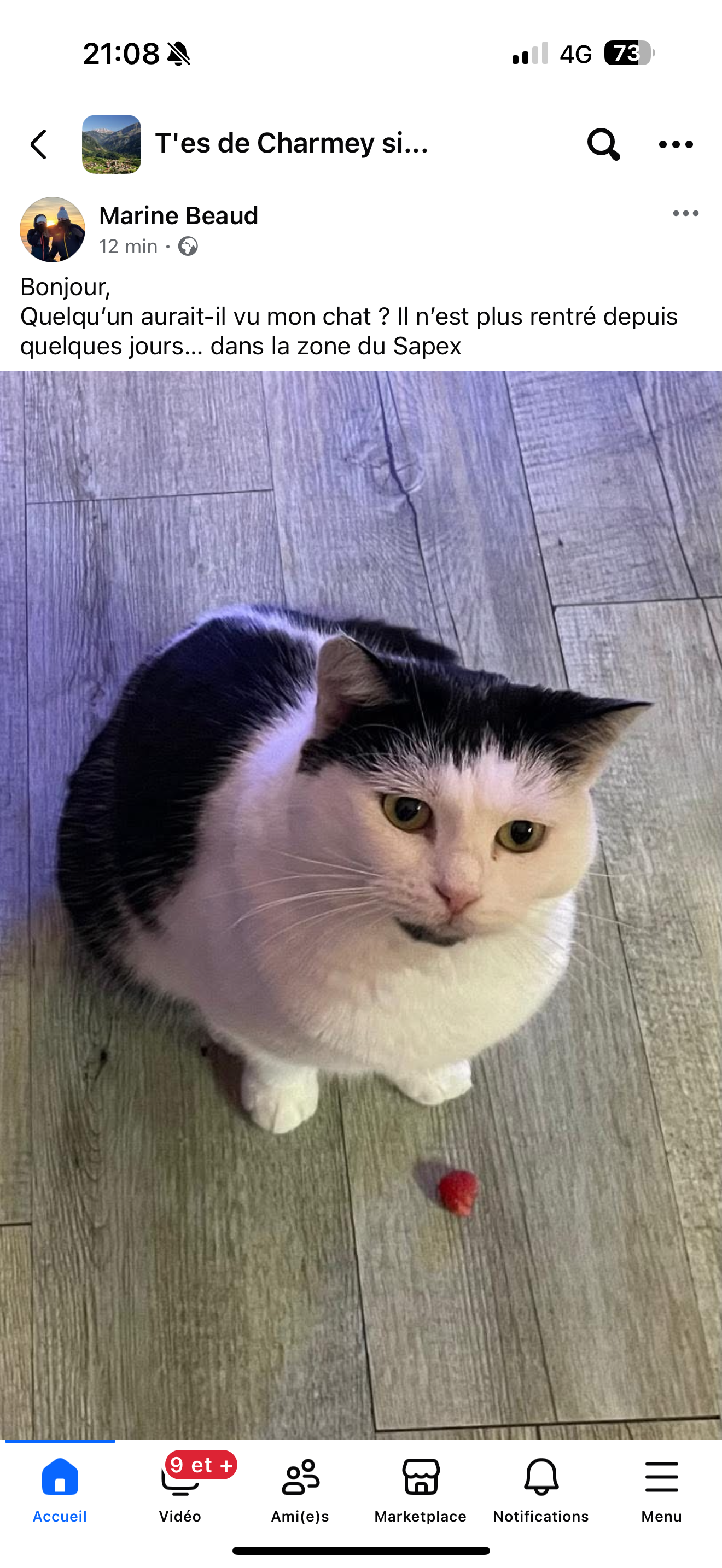 Coco - Le Sapex 25, Val-de-Charmey