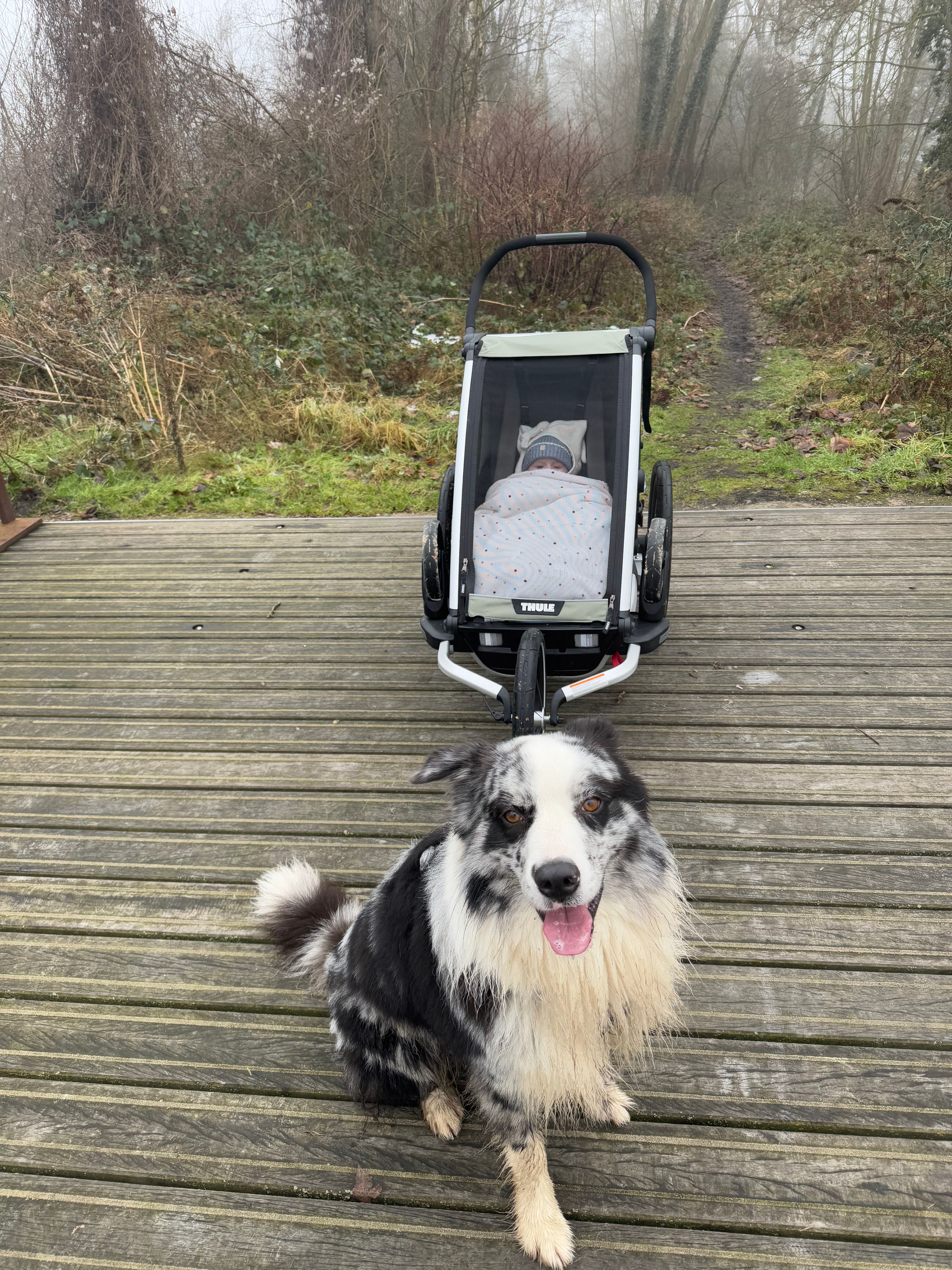Tao - Rue Godefroid de Bouillon, Genappe