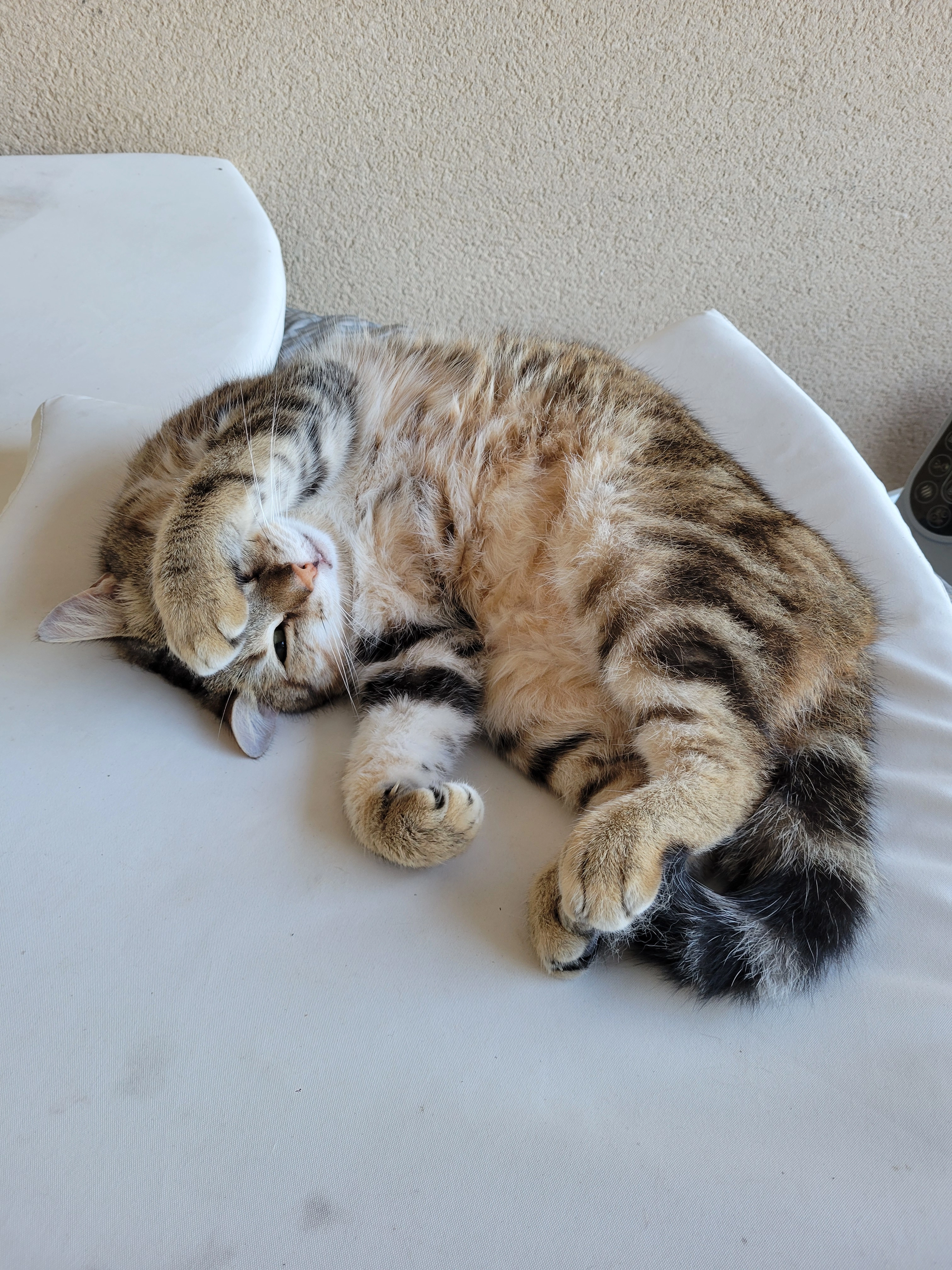 Skipy  - 15 Route de Villars, Moulidars