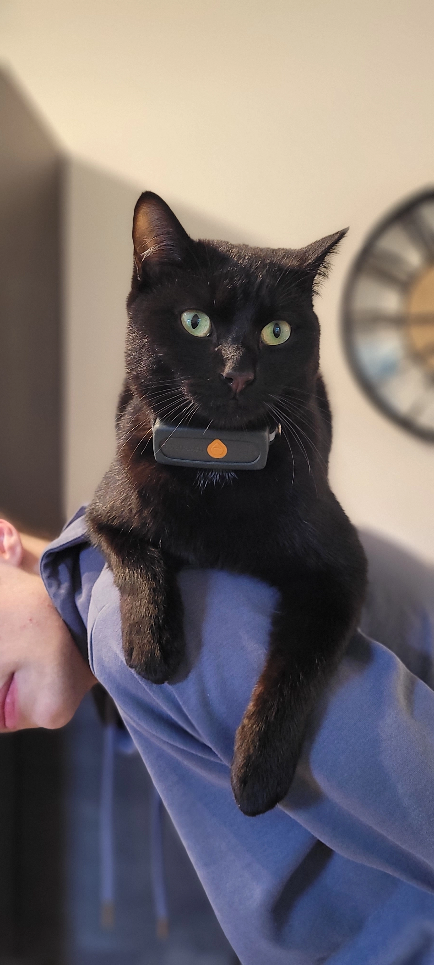 Night - Rue Jules Verne, Acigné