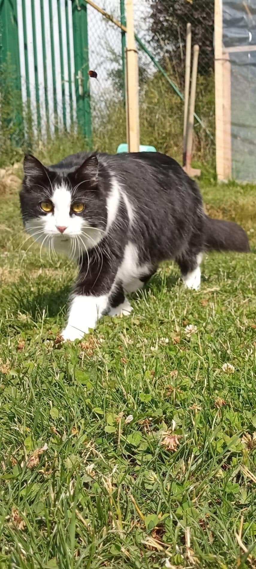 Misty - 12 Route de Grandval, Saint-Amant-Roche-Savine