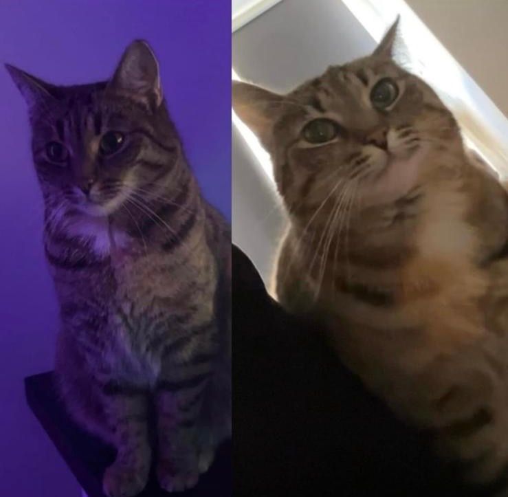 Tigi  - Hauptplatz, Groß-Schweinbarth