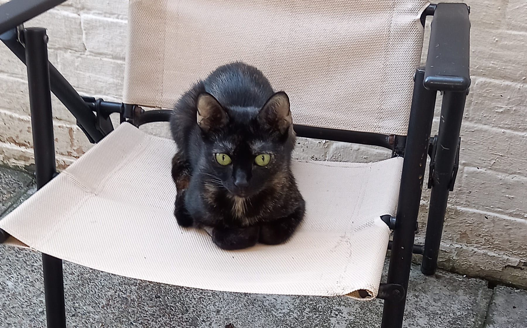 Blue - Maud Terrace, Great Yarmouth