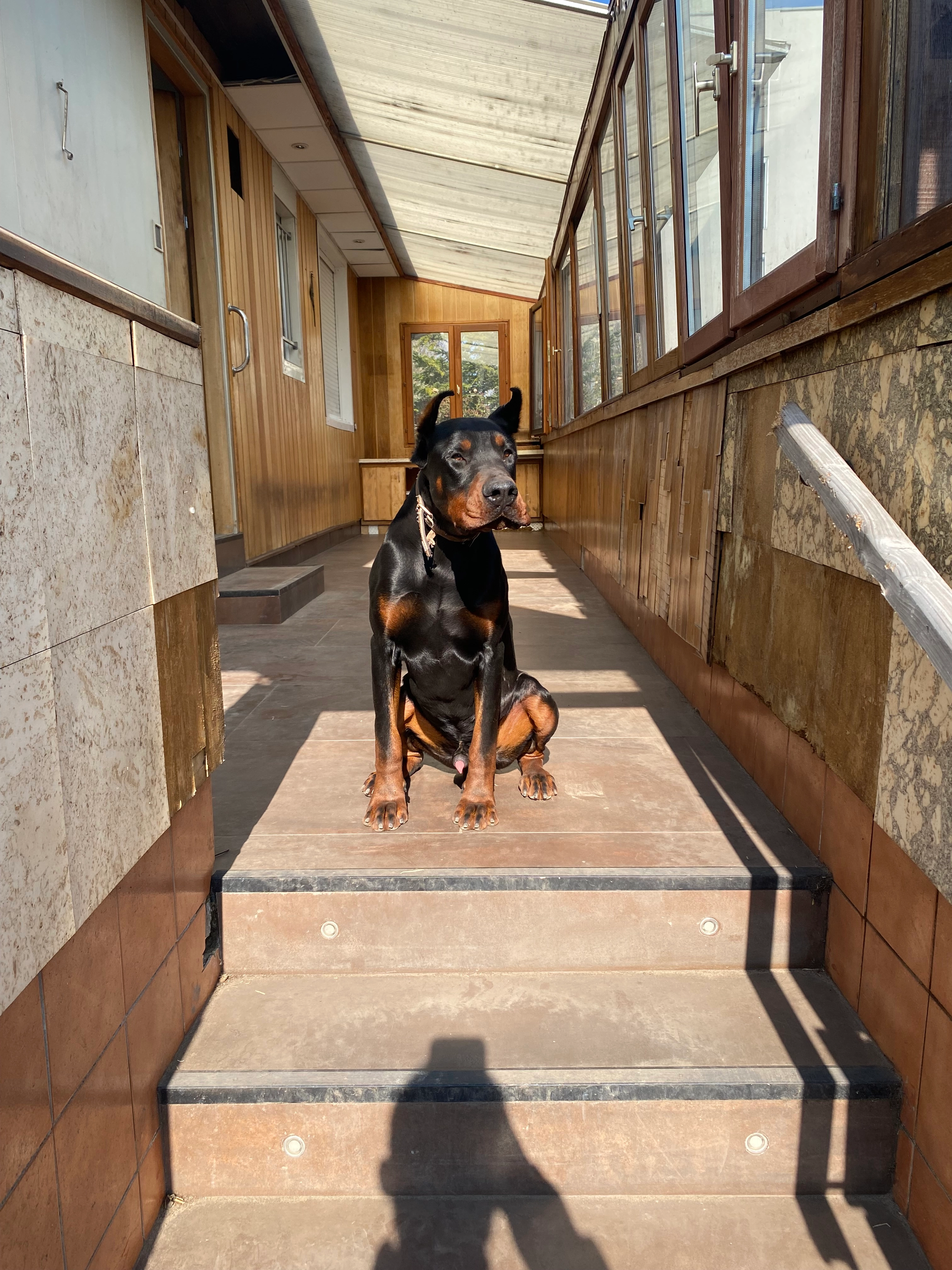 Yamack - Chemin du Plessis-Bouchard, Taverny