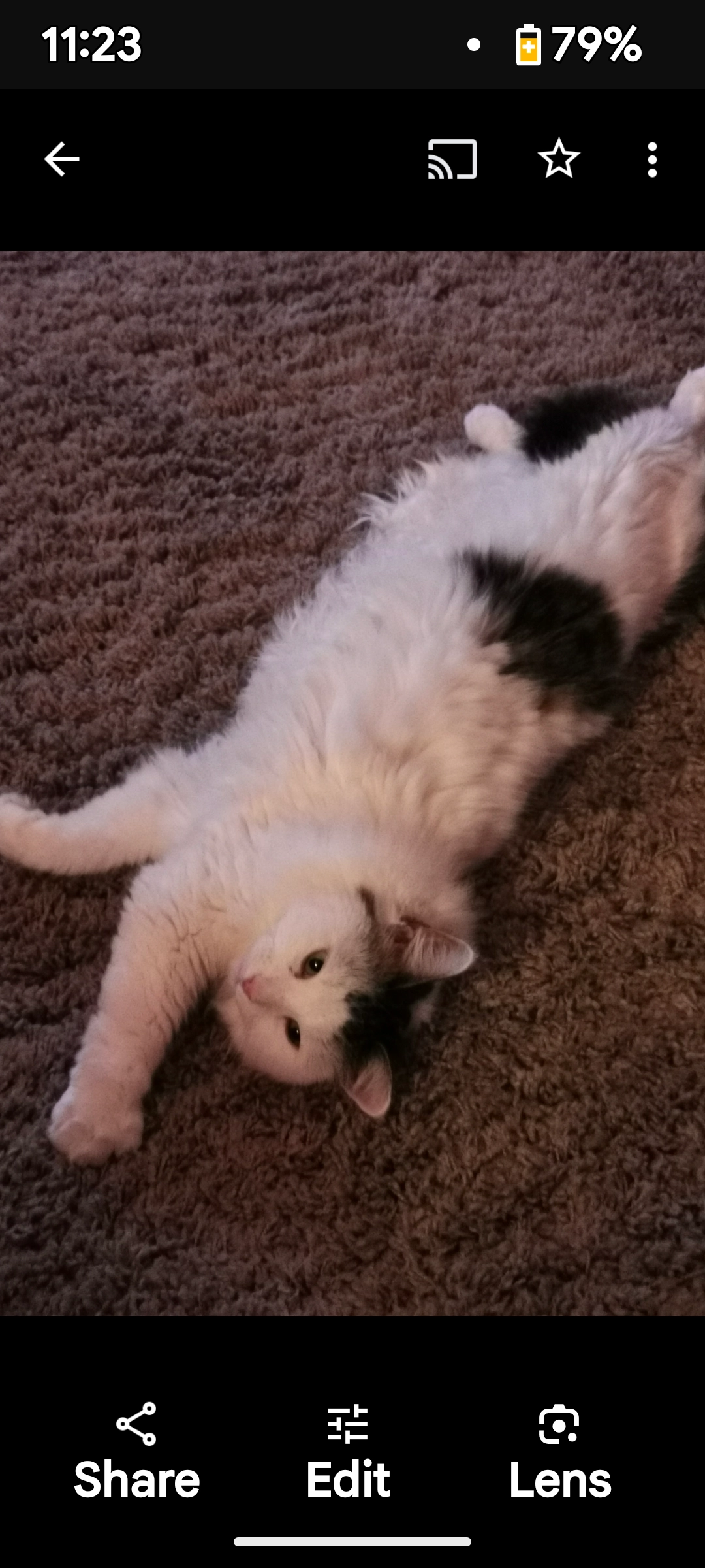 Tallulah - Roseberry Street, Stanley