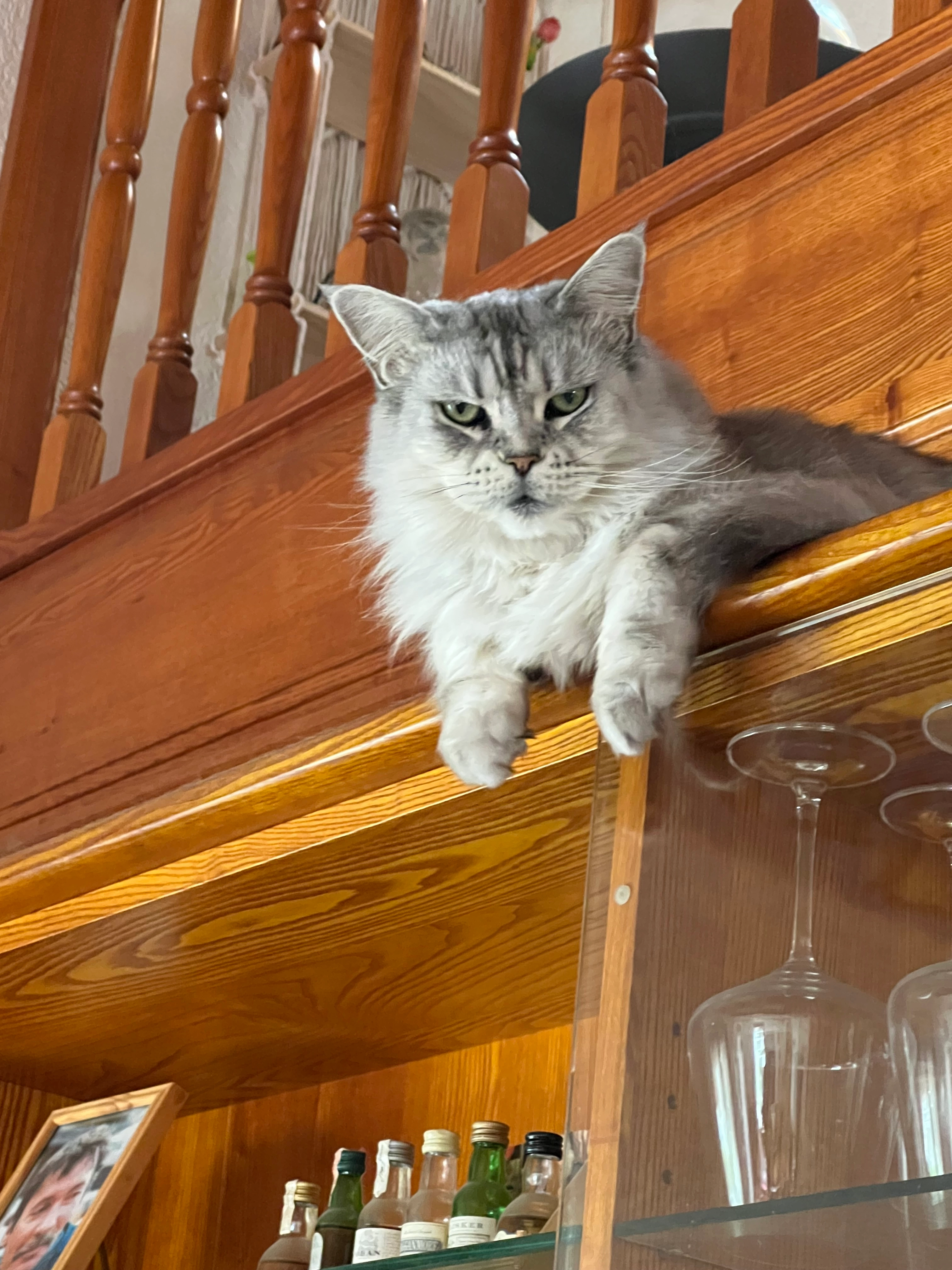 Misis - Route de La Chapelle 24, Saint-Maurice