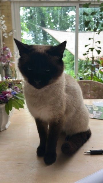 hallo - Weezenhof, Nijmegen