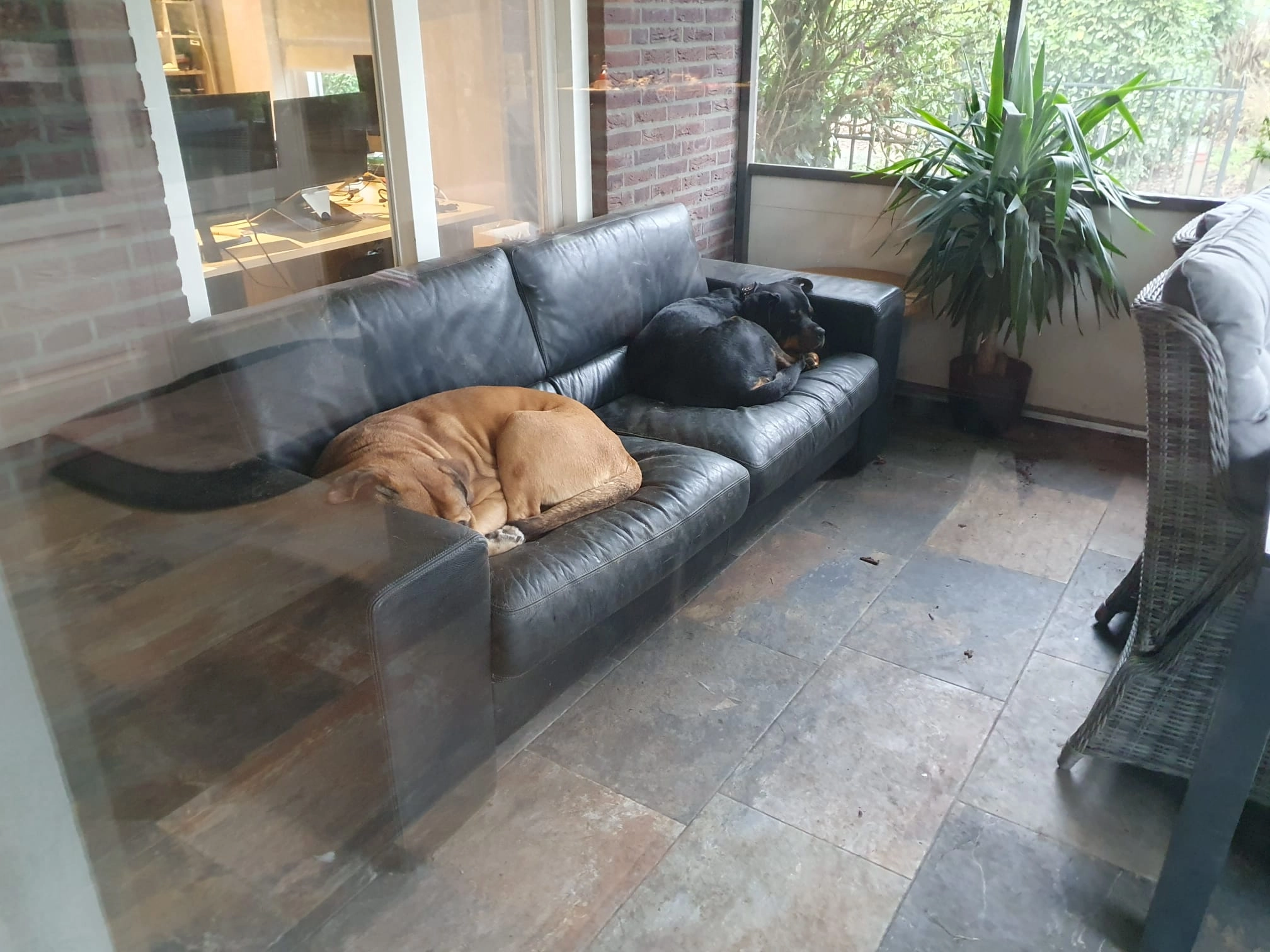 Hummer en nora - Burgemeester van Erpstraat, Berghem