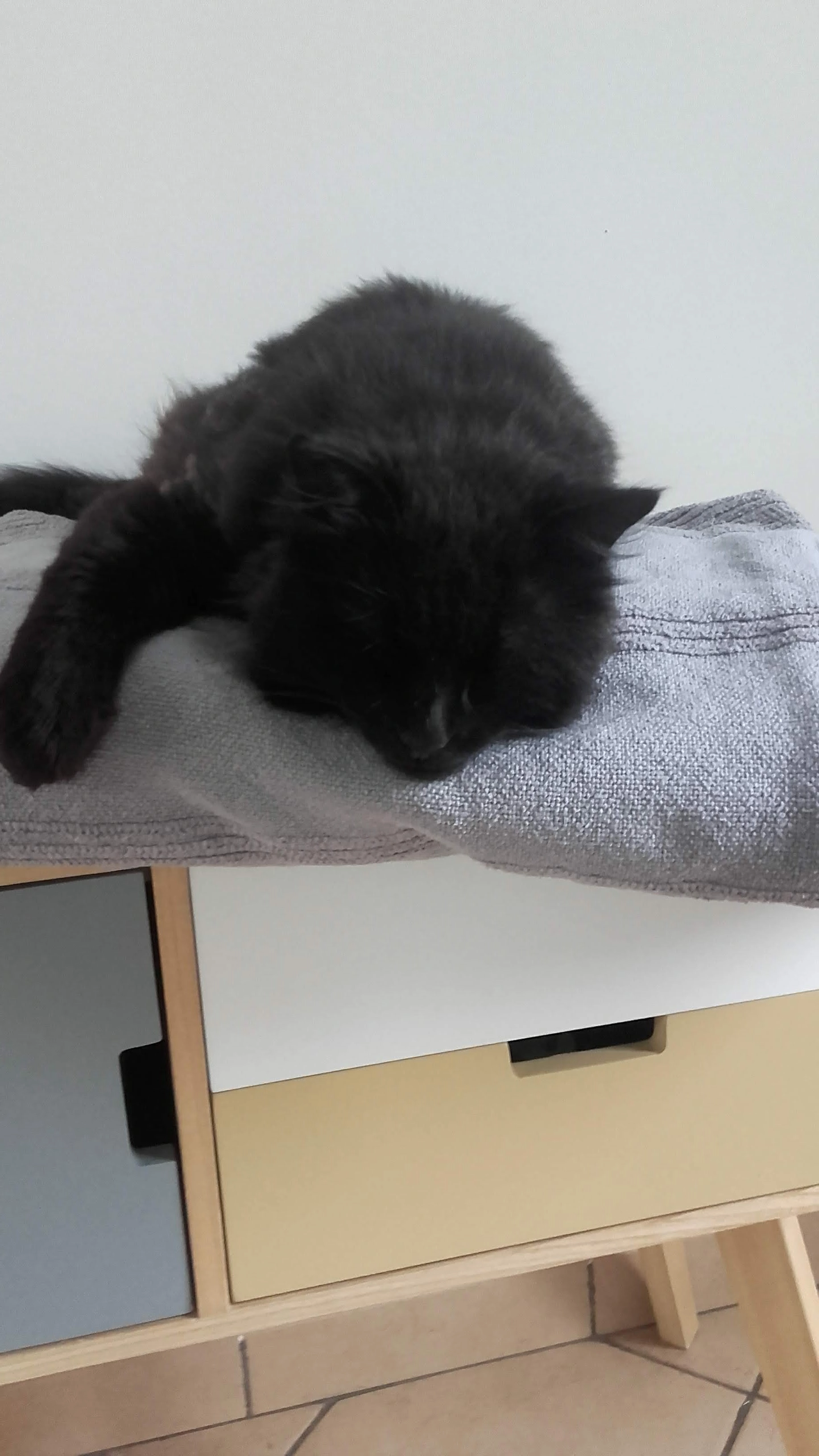 Chocobon - 17 Rue des Bleuets, Neuilly-sur-Marne