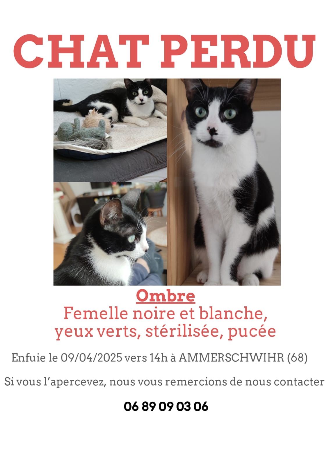 Ombre - 9 Grand'rue, Ammerschwihr