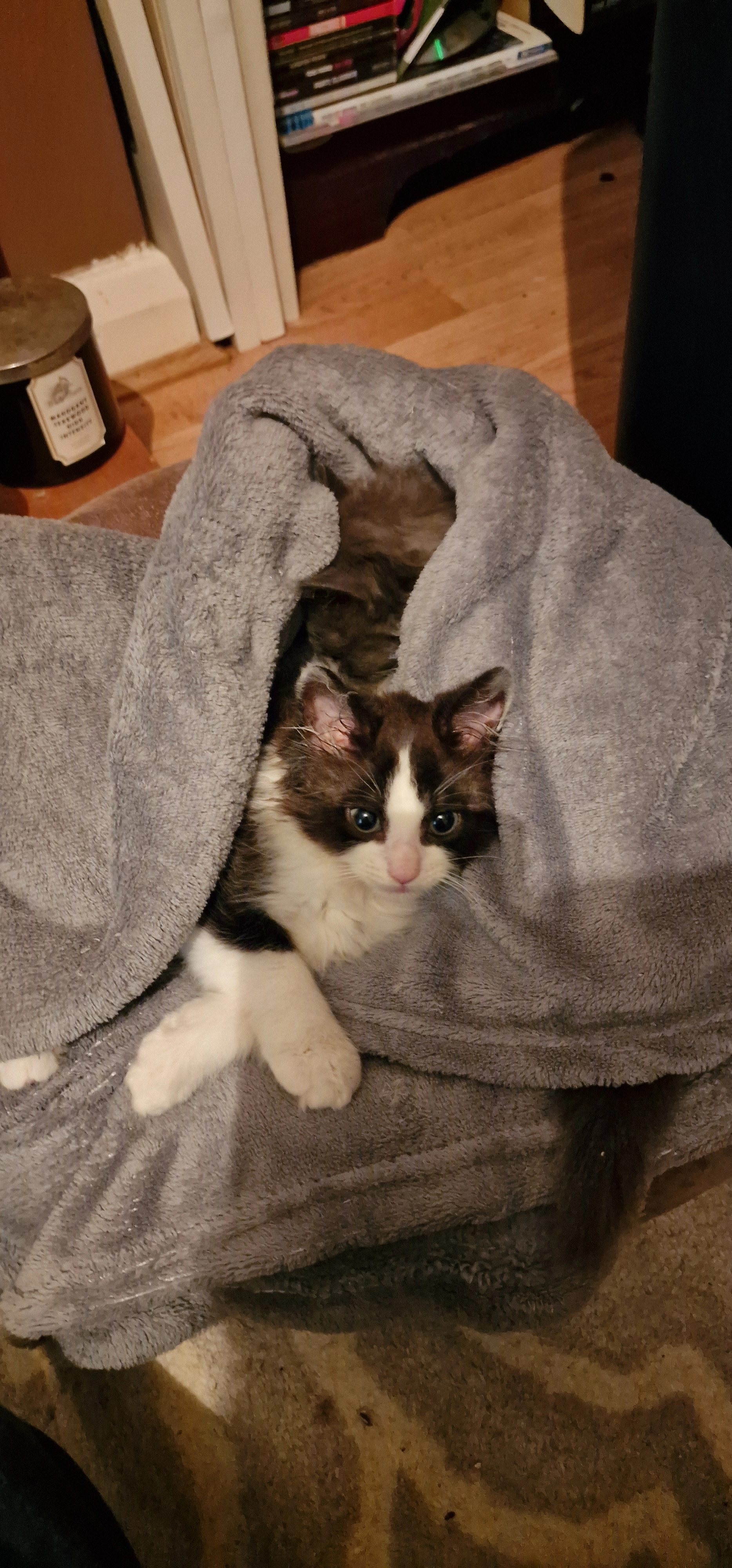 Gimli - Childe Square, Portsmouth