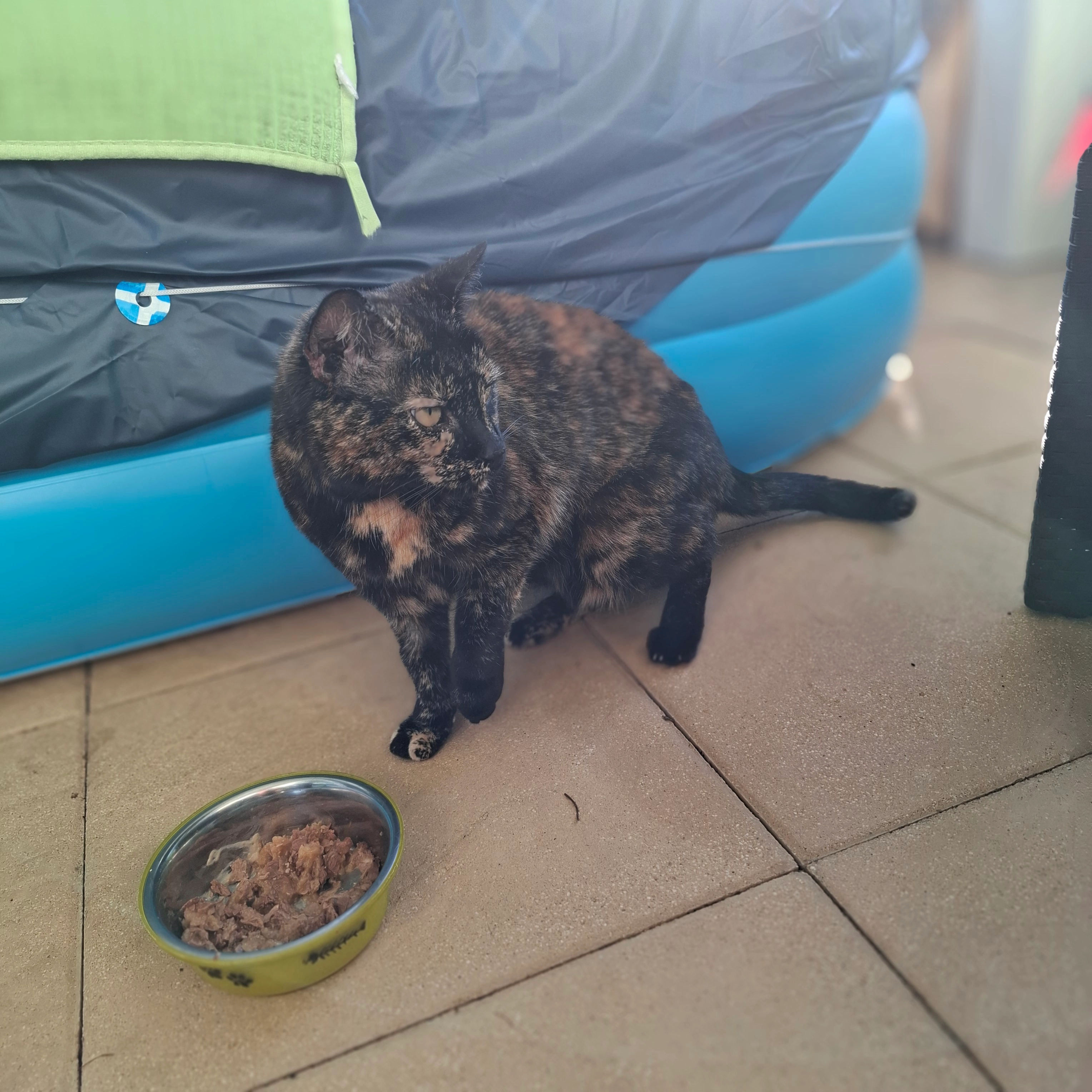 Gismo - Wängiweg, Schwaderloch