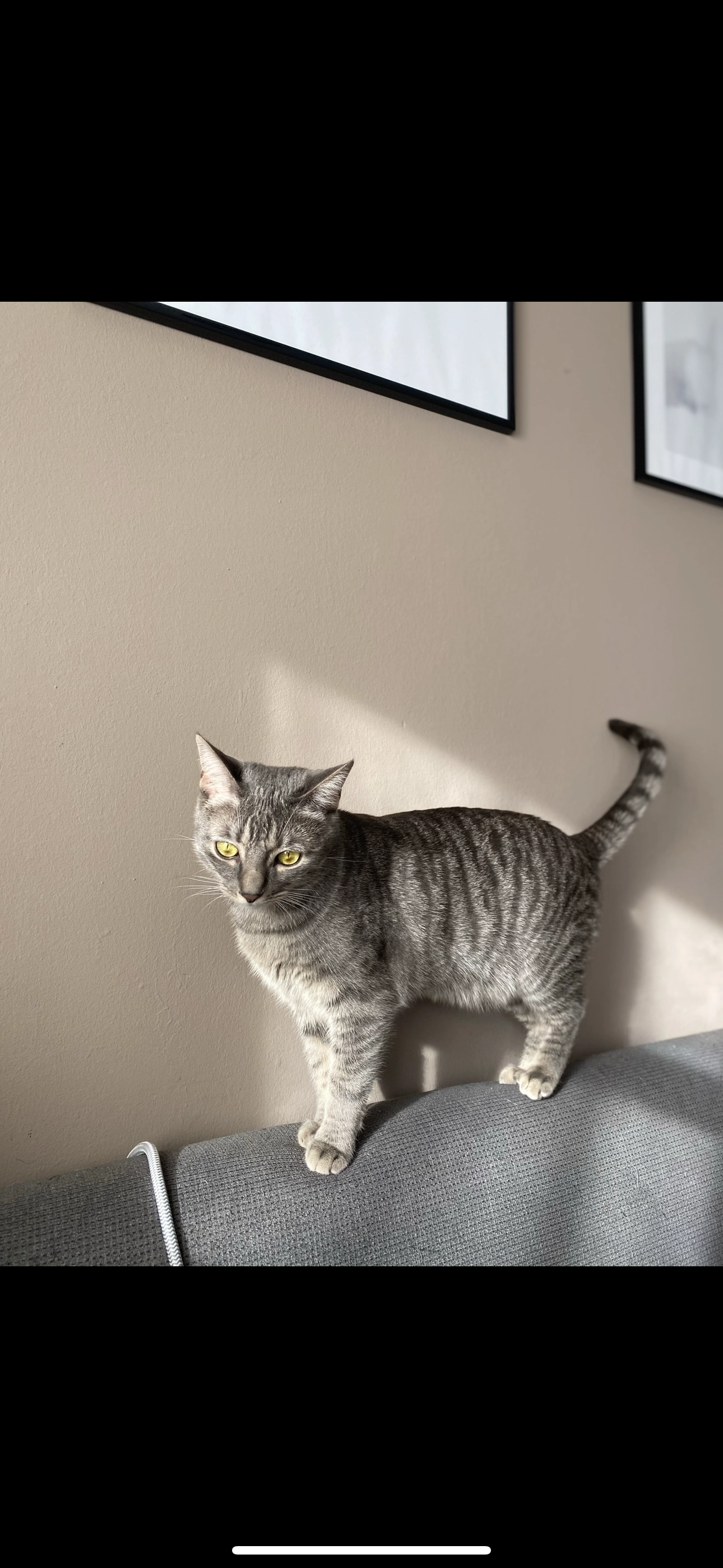 Mochi - Hinter den Gärten, Neusäß