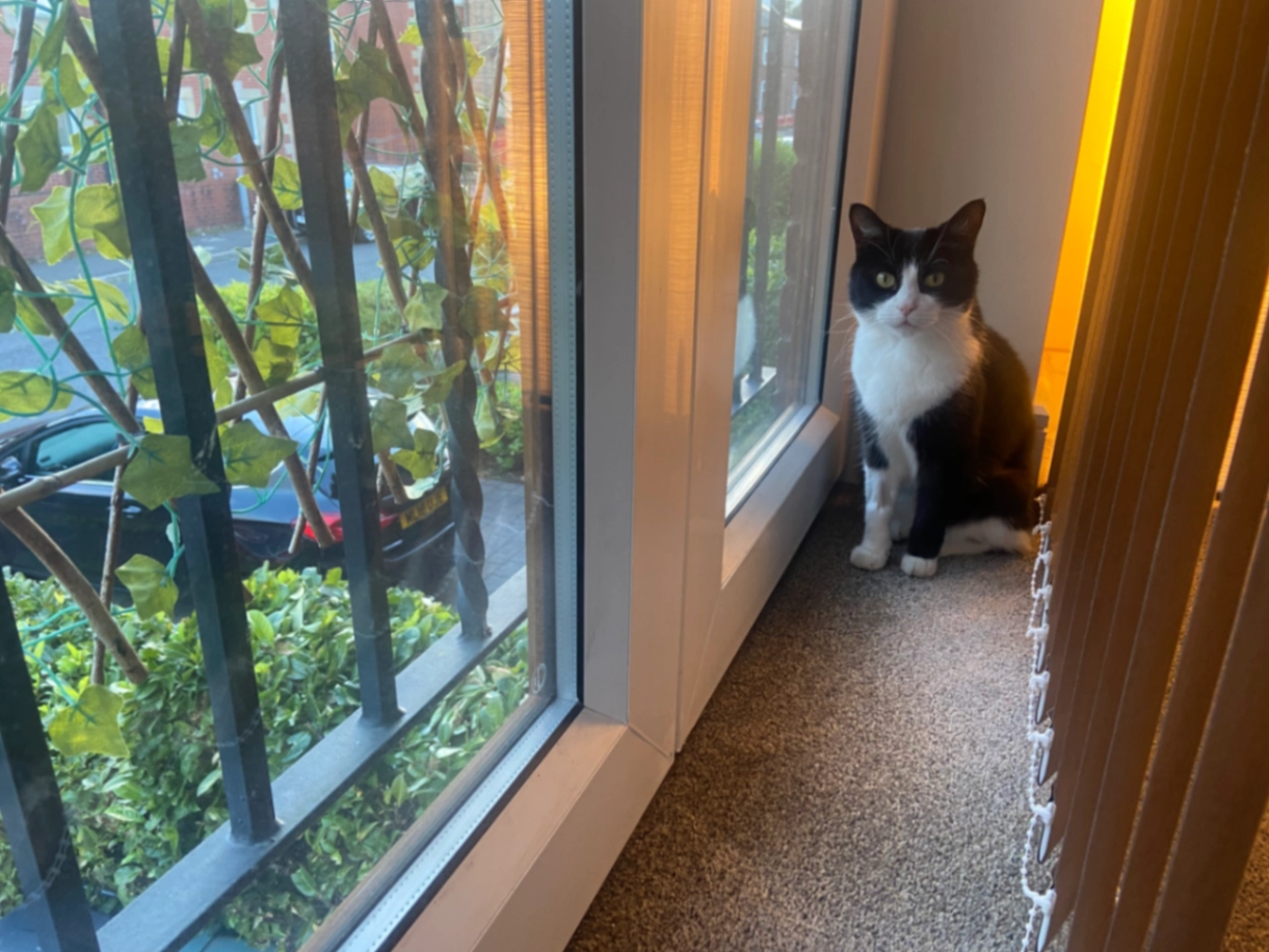 Mica - Deardens Street, Bury