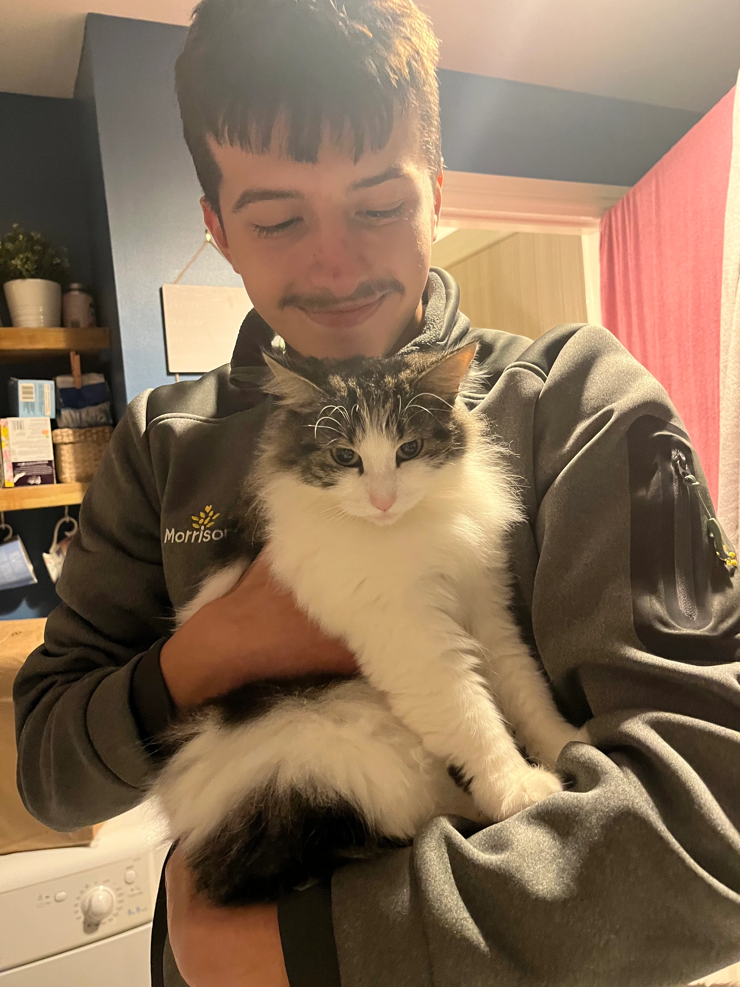 Willow - Marine Drive, Exeter