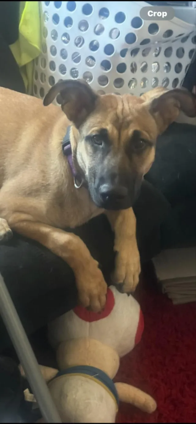 Levi - Osuna Ct NE, Albuquerque