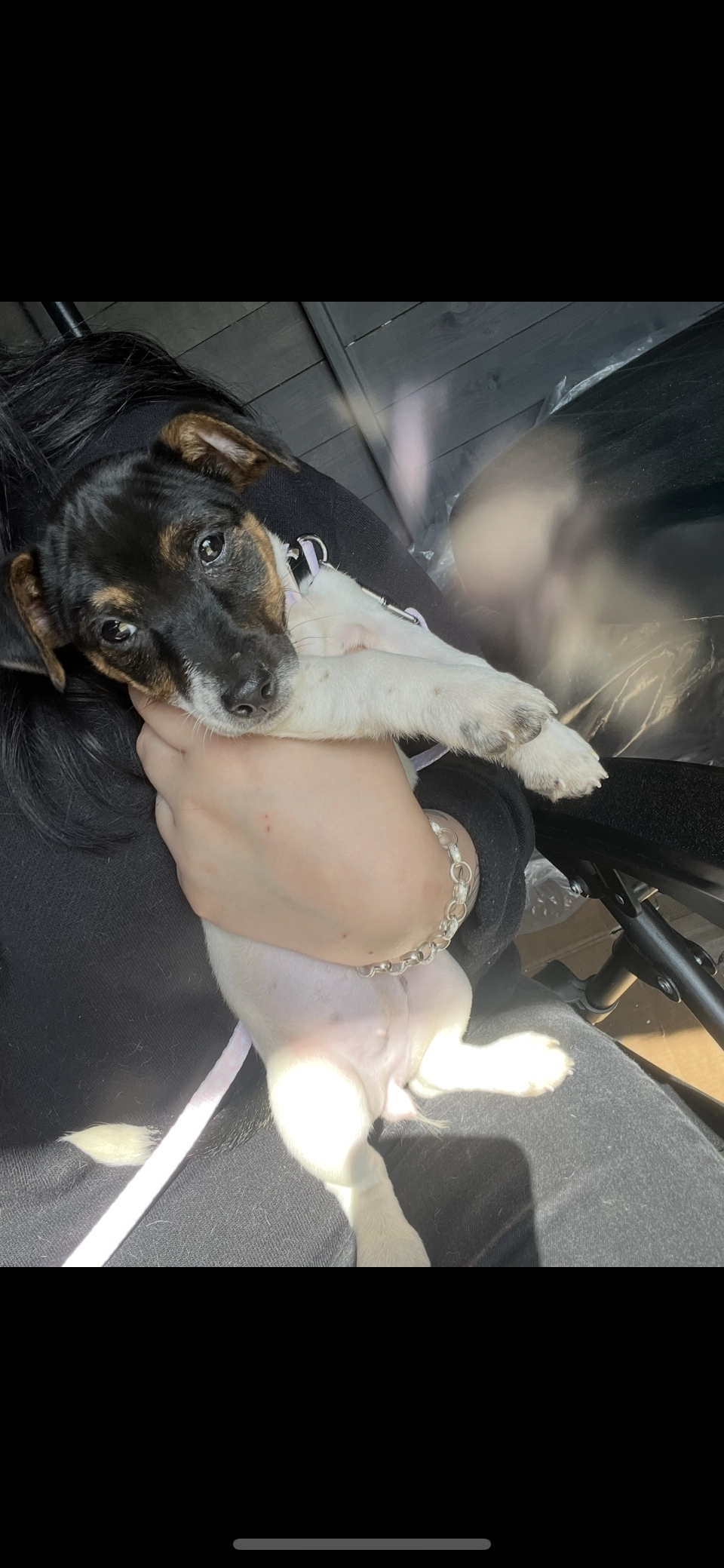 Penny - Hookergate Lane, Rowlands Gill