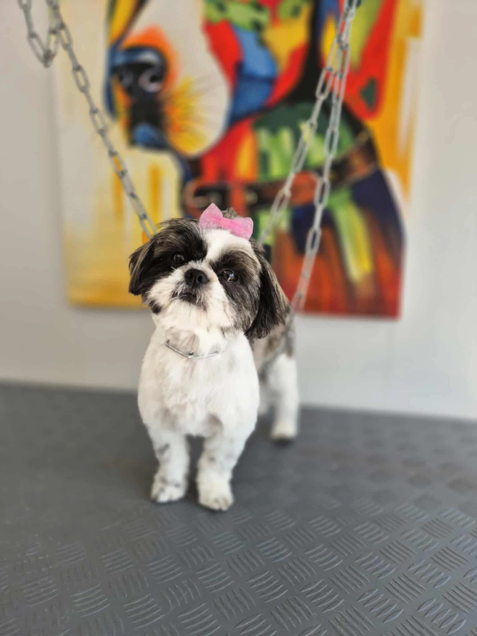 Umana  - Route des Églisottes, Les Églisottes-et-Chalaures