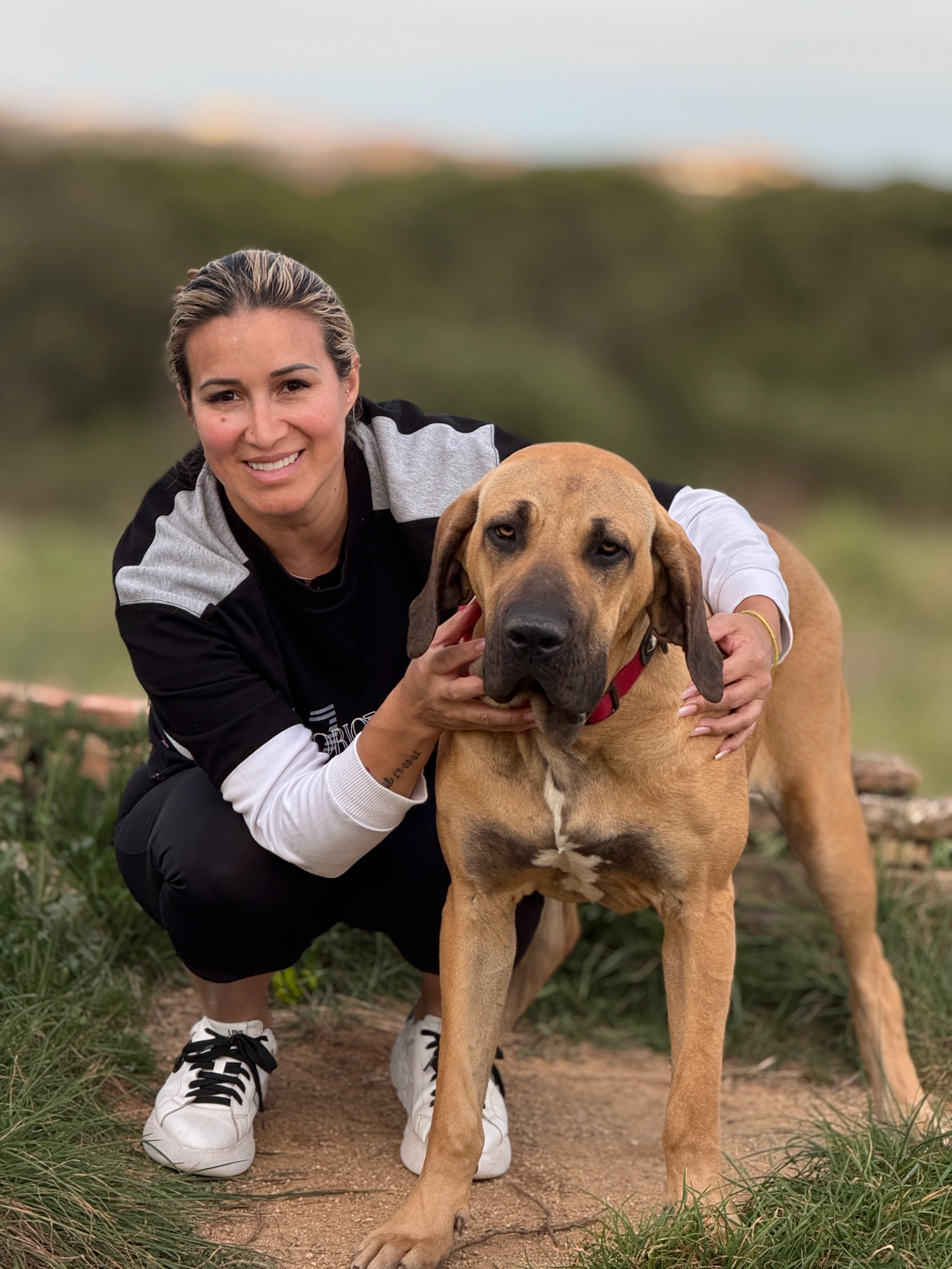 Linda  - Carrer Camp de Tir 4, Sant Andreu de Llavaneres