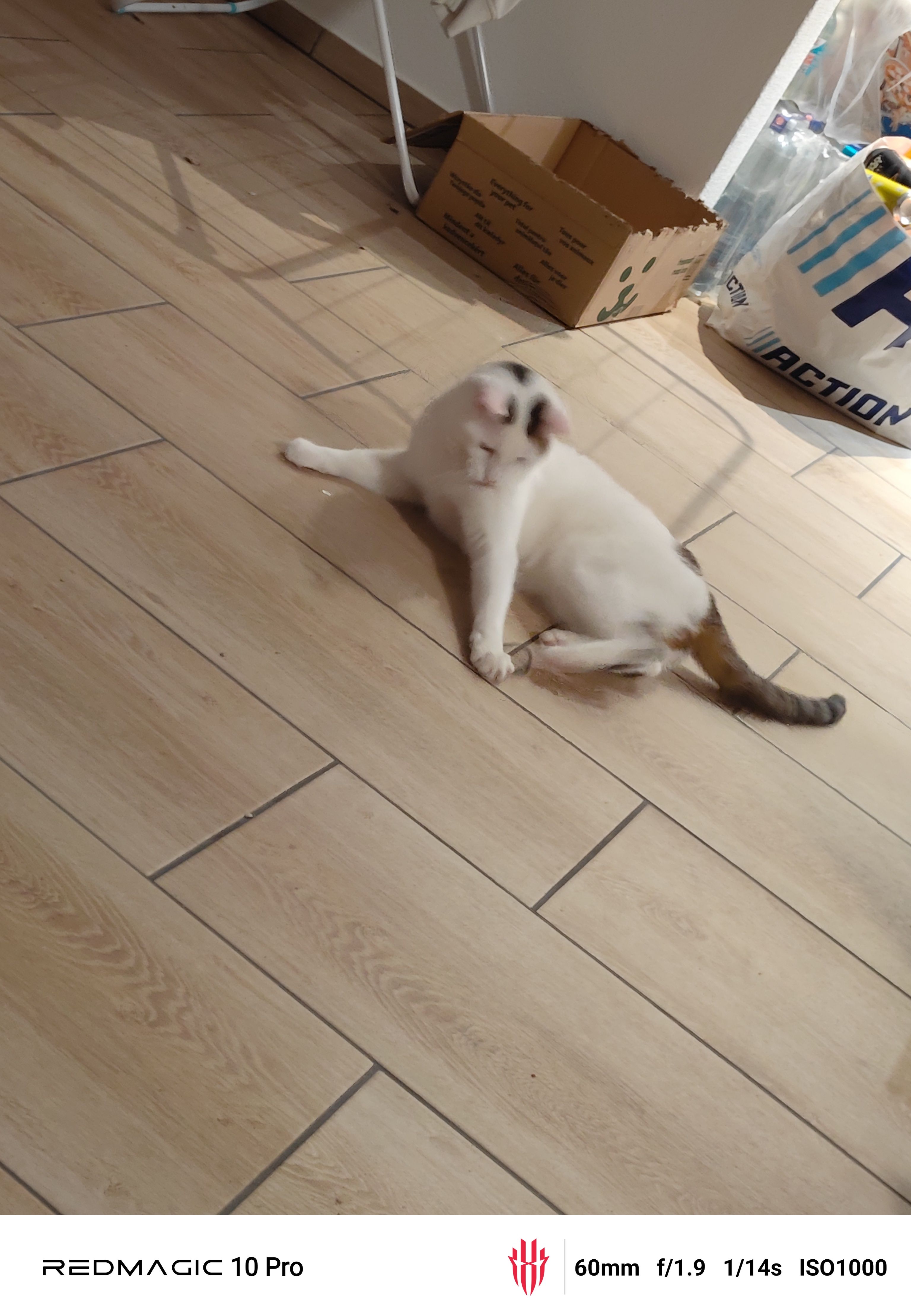 Thor - Am Unterwasser, Meßkirch