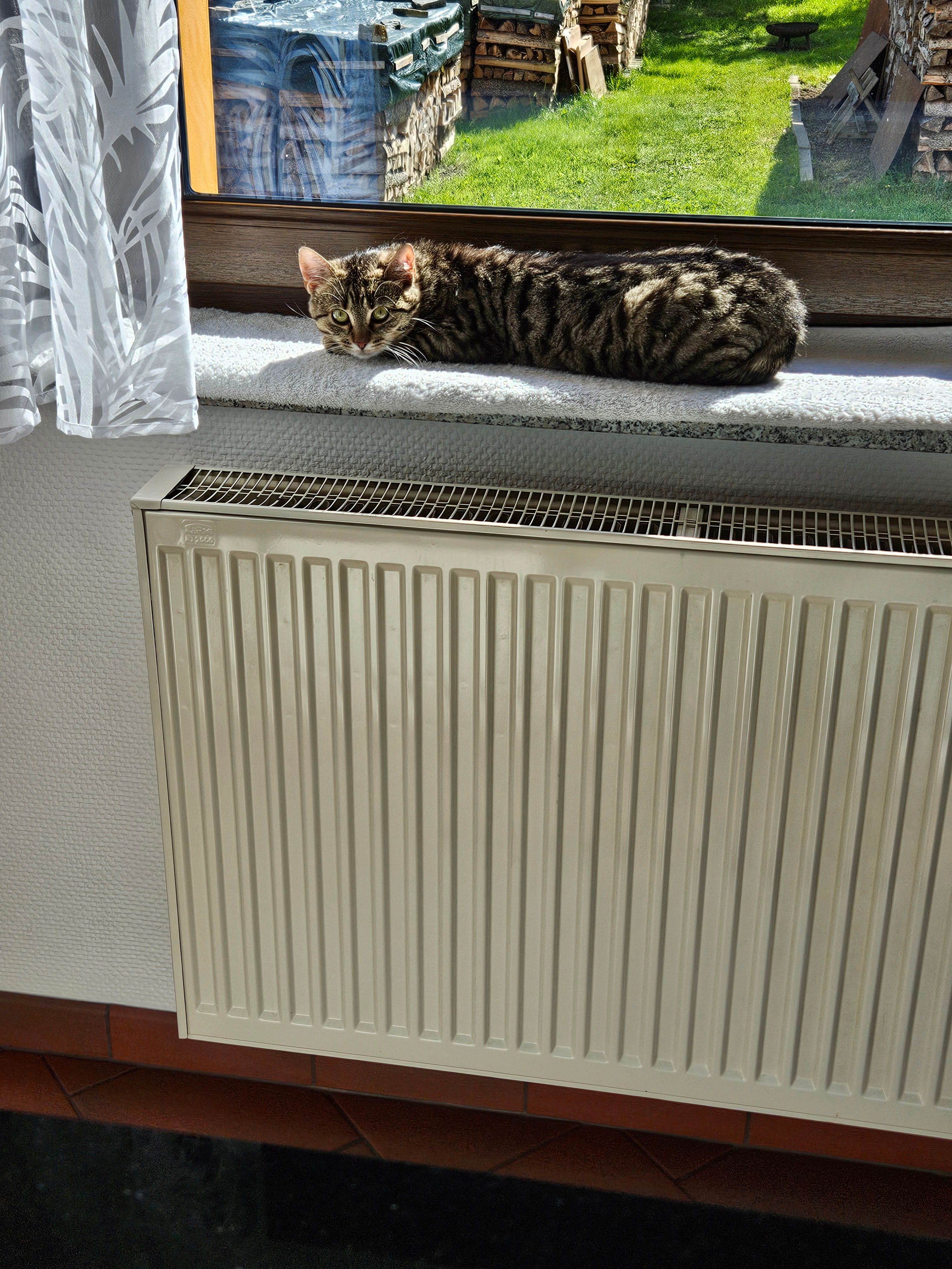 Emmy - Bergsiedlung 234, Jöhstadt