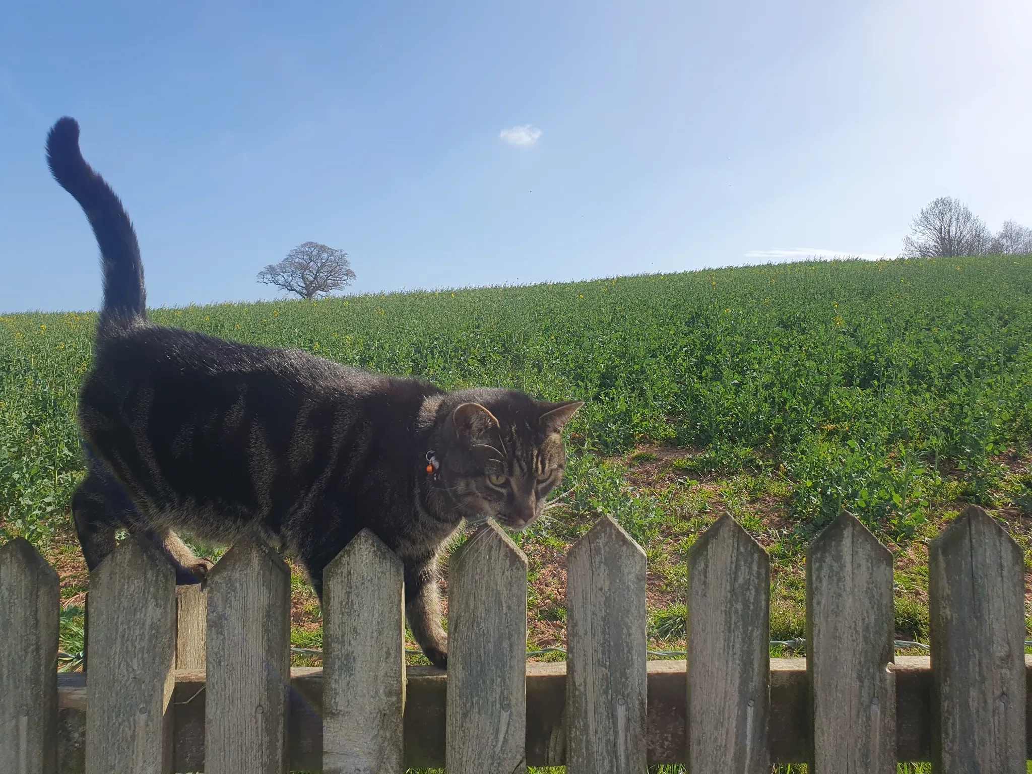 Sampson - Ebford Lane, Exeter