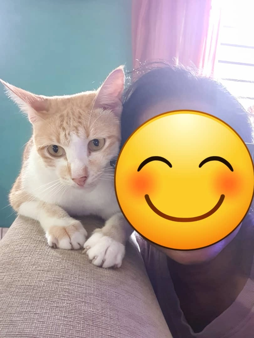 Orange  - 47100, Puchong