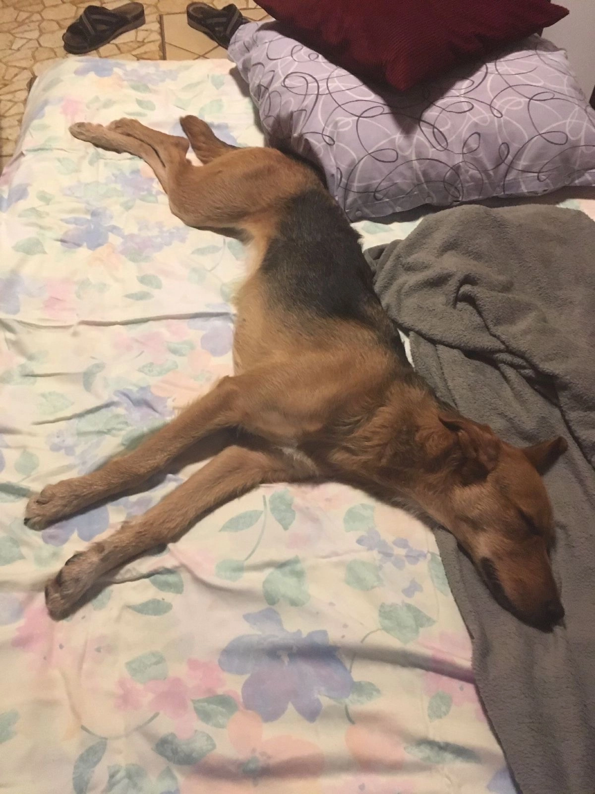 Luna - Laihleweg, Stuttgart