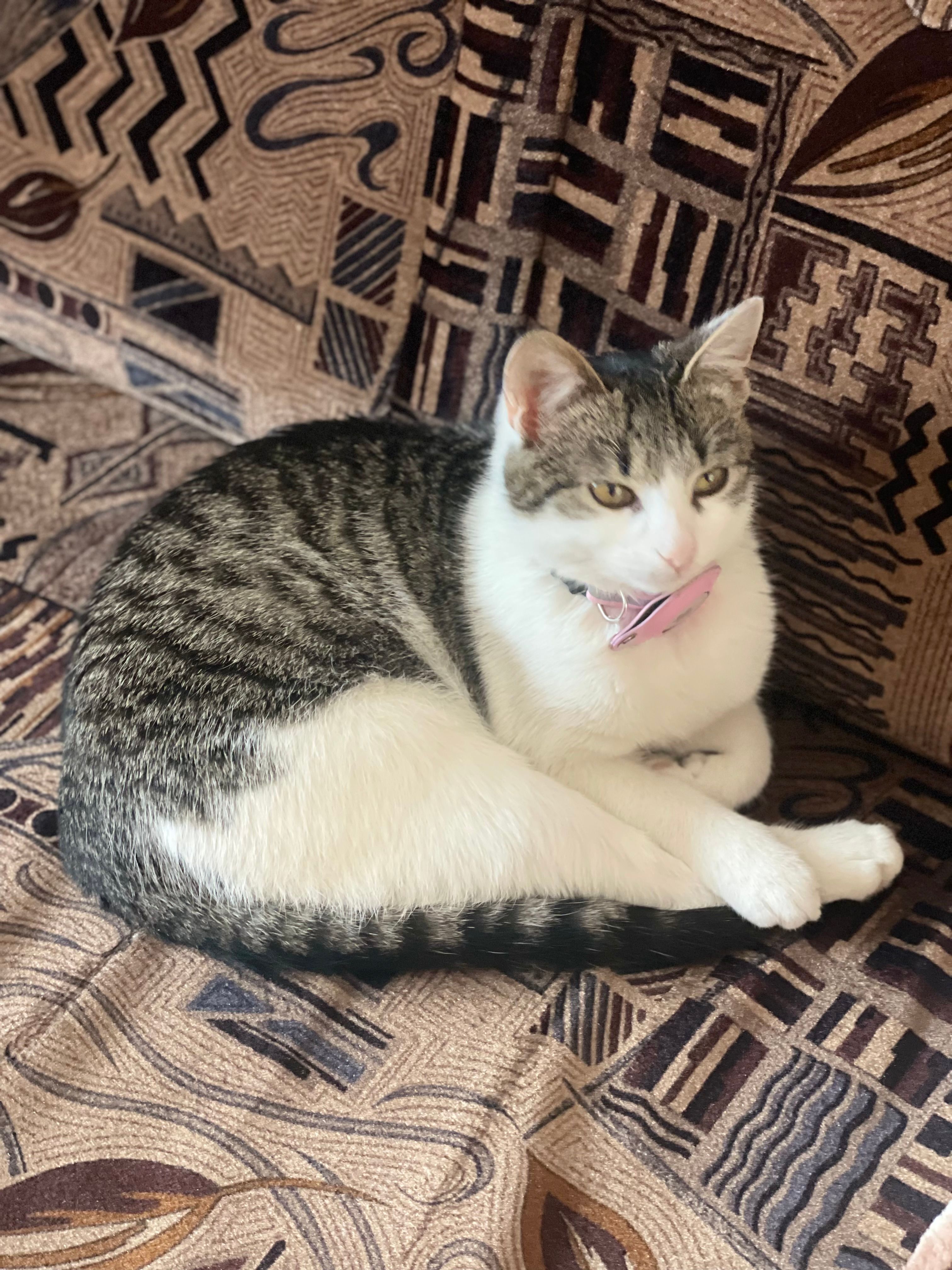 Cili - Strada Tudor Vladimirescu, Marghita