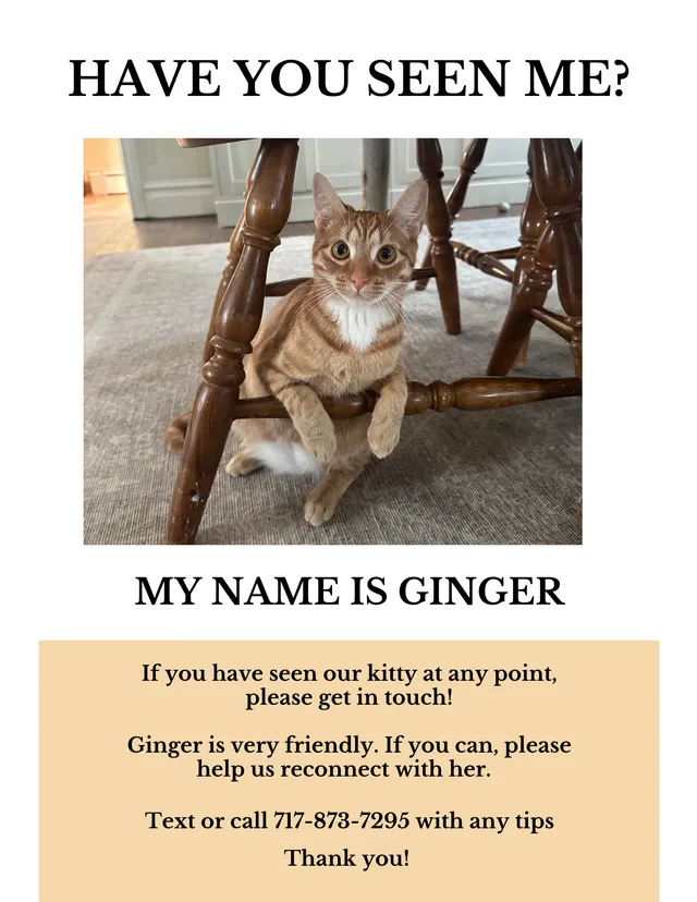 Ginger - 1563 Hillcrest Ave, Lancaster