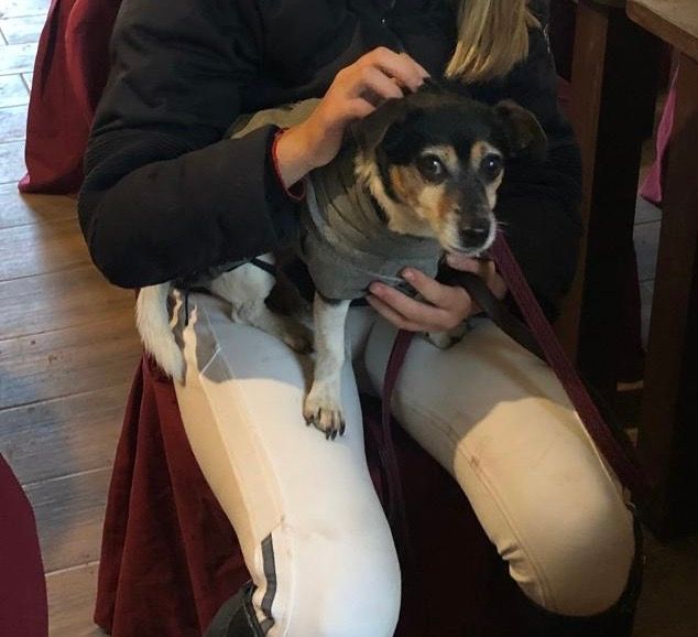 Mia - Dubová, Šamorín