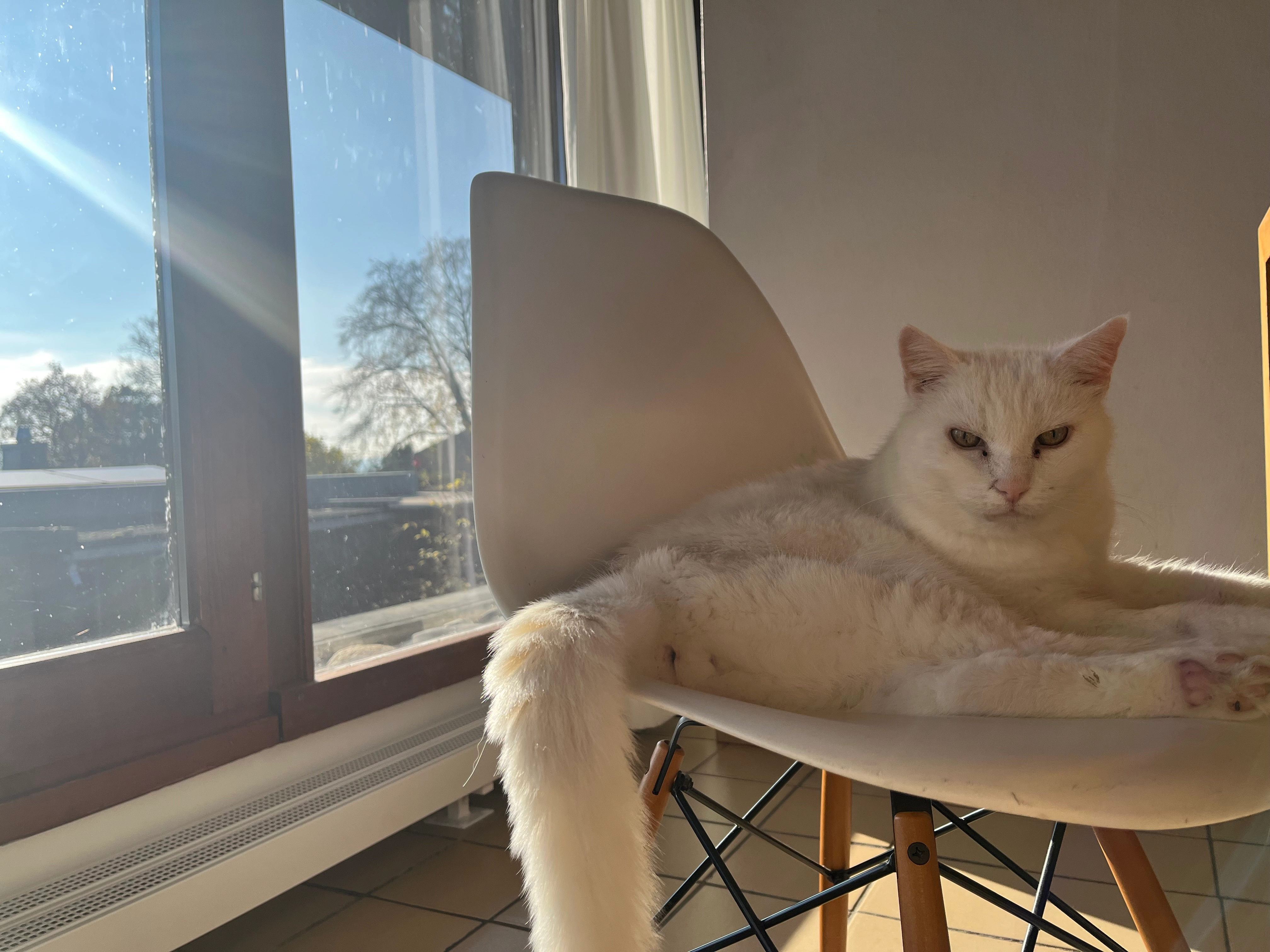 Gabor - Feldrebenweg, Merzligen