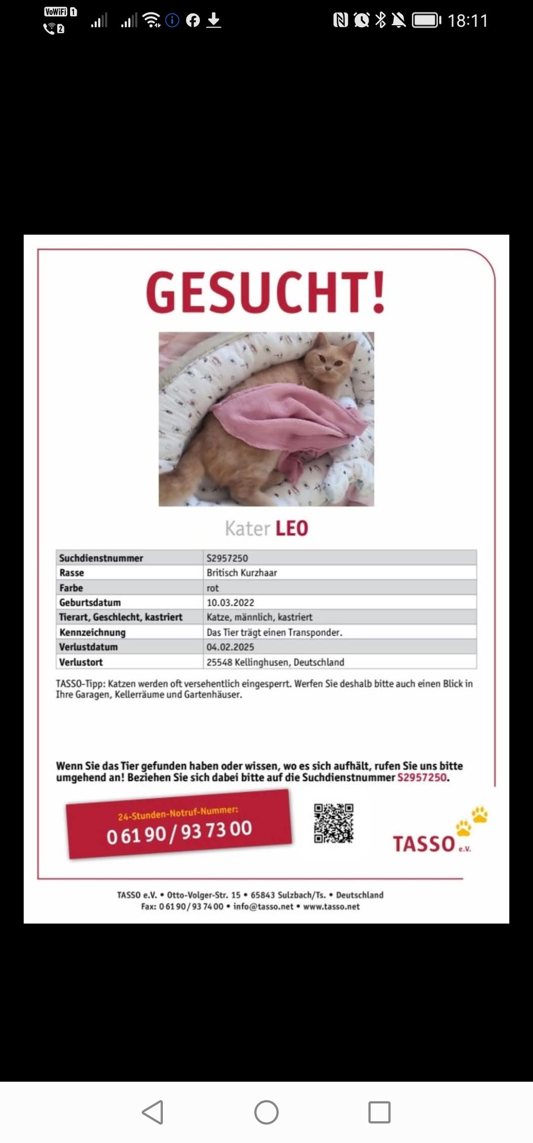 Leo - 25548, Kellinghusen