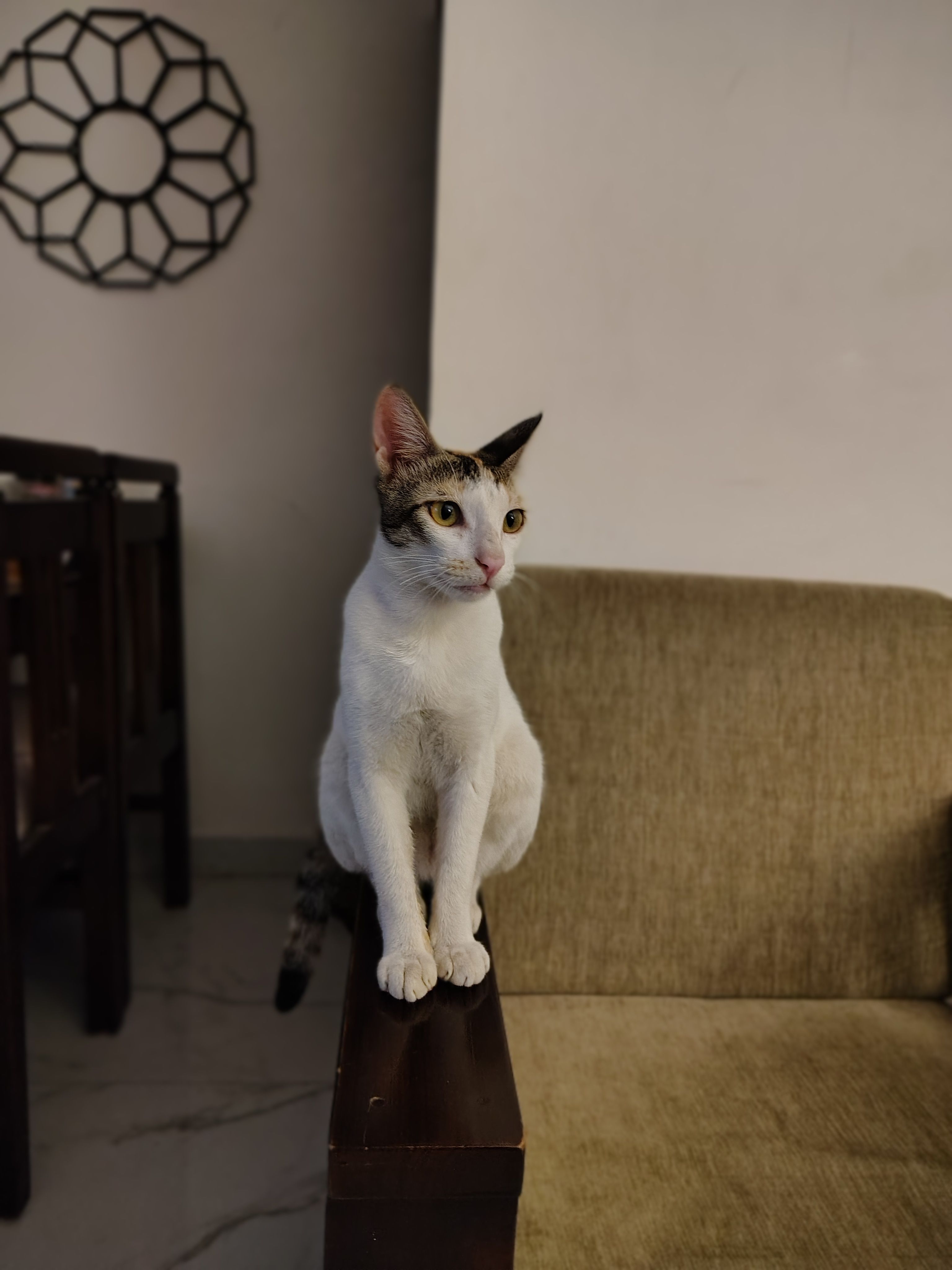 Mini - Inner Ring Road, Nagpur