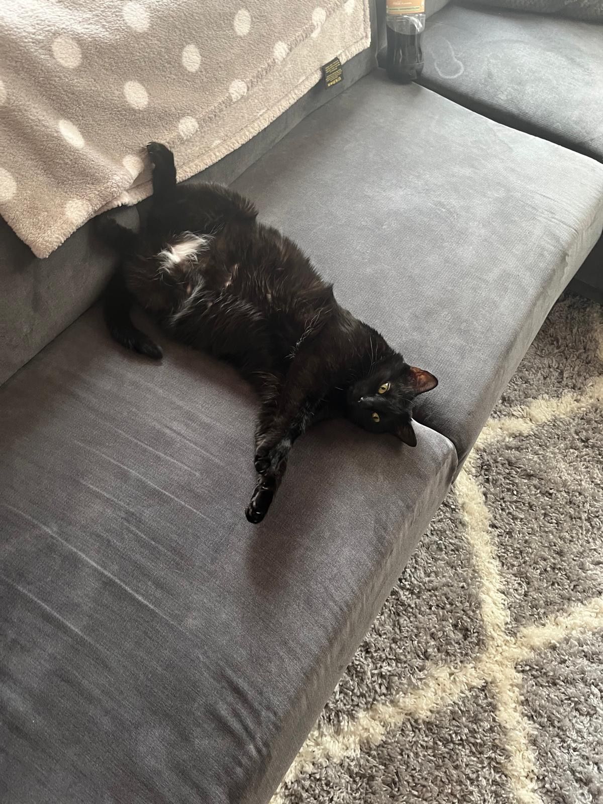 Katy - Werdauer Straße, Neukirchen