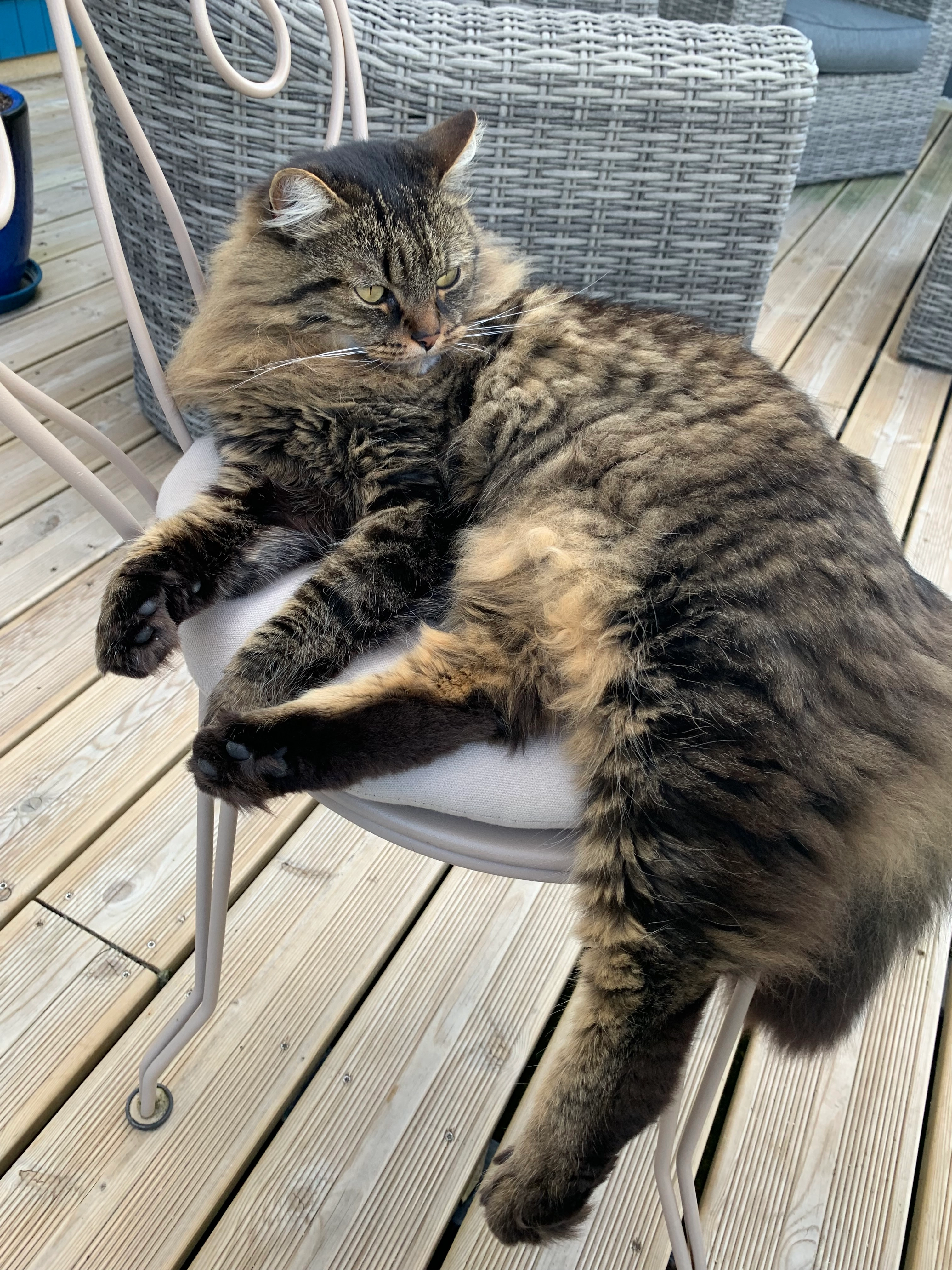 gatsby - Allée du Guéreau, Maintenon