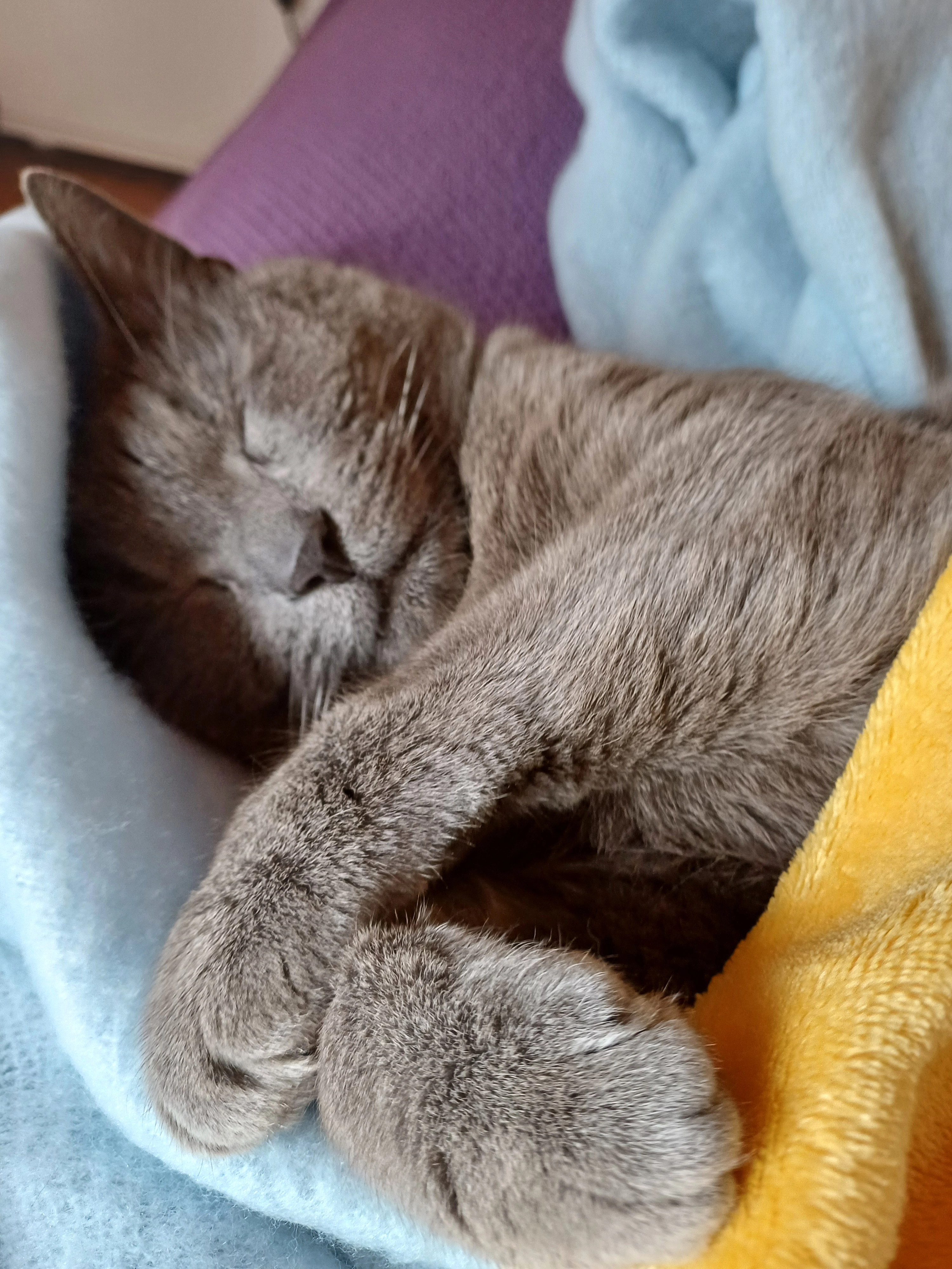 Grisou  - Rue du Val de Fer, Neuves-Maisons