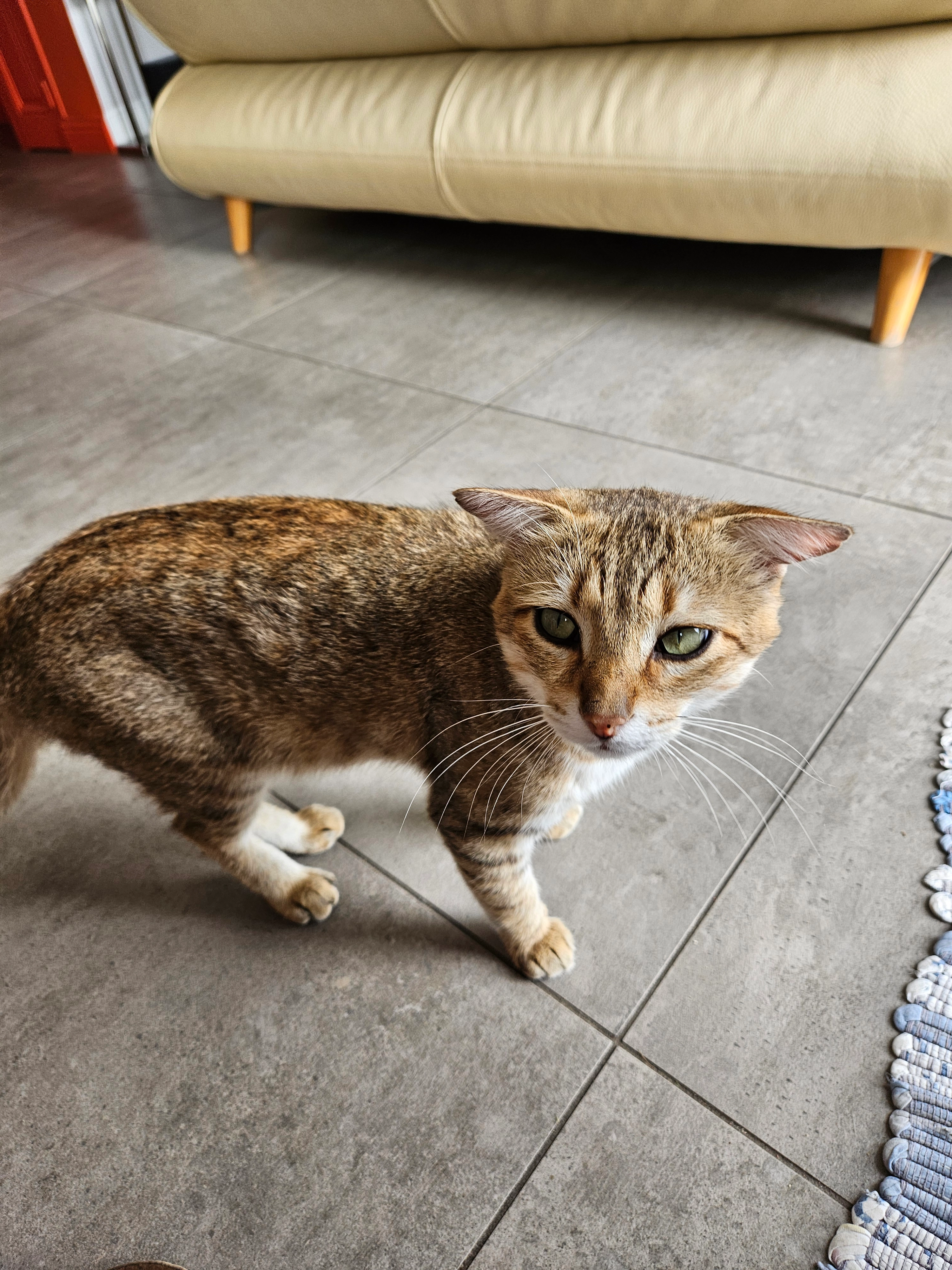 lucky - Rue Du Rivage, Roanne